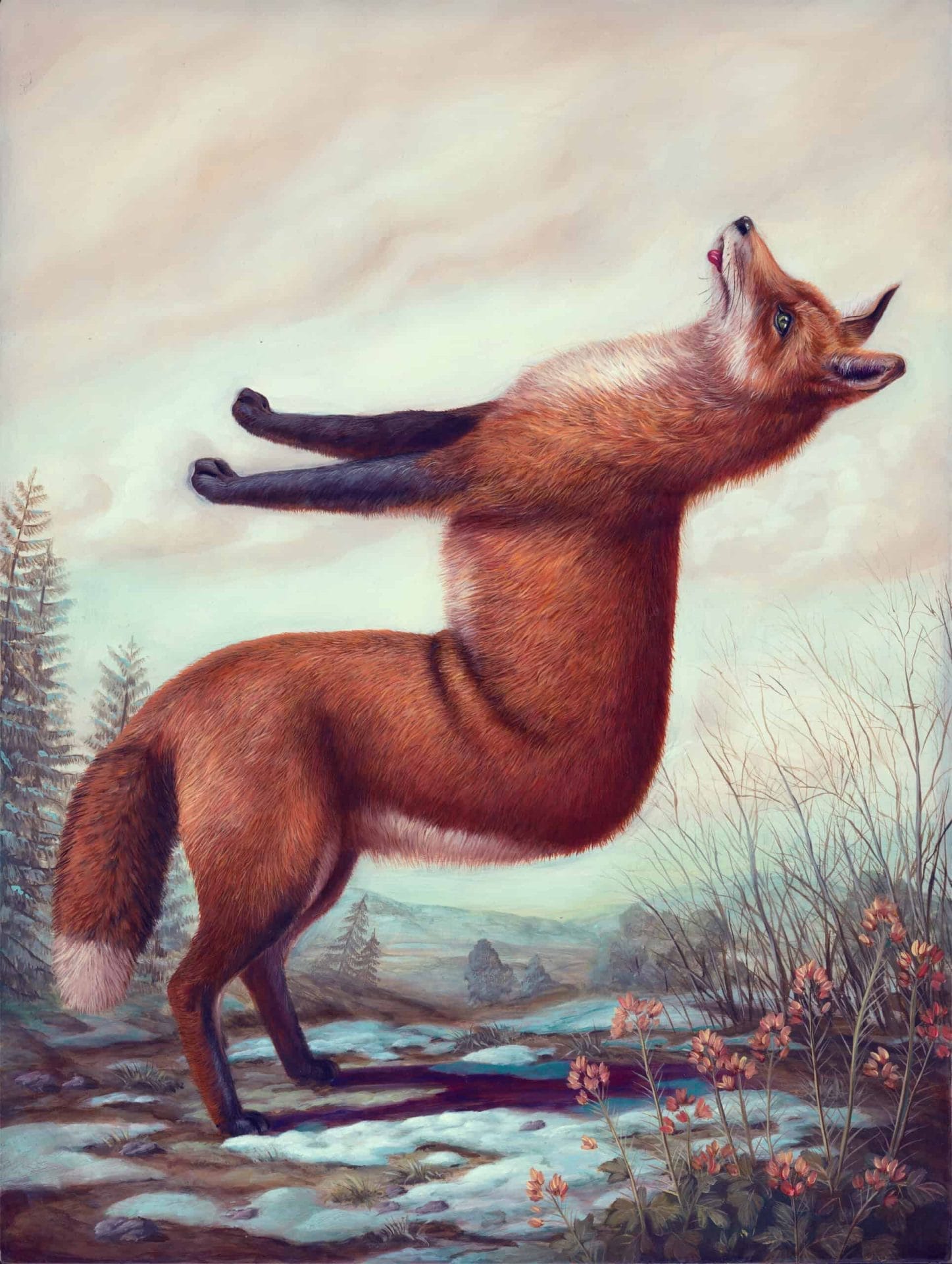 Dieren in absurde poses door Bruno Pontiroli