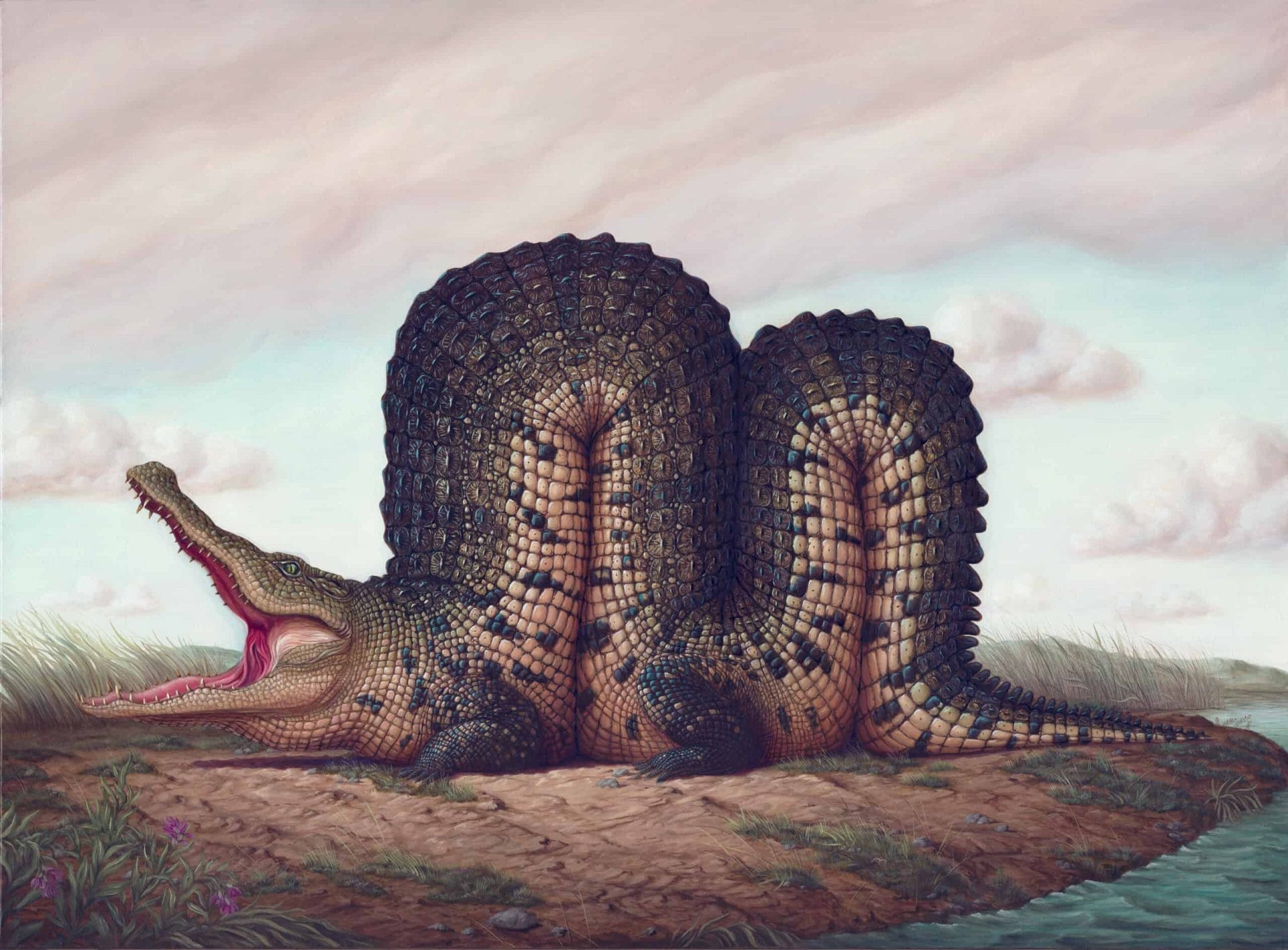 Dieren in absurde poses door Bruno Pontiroli