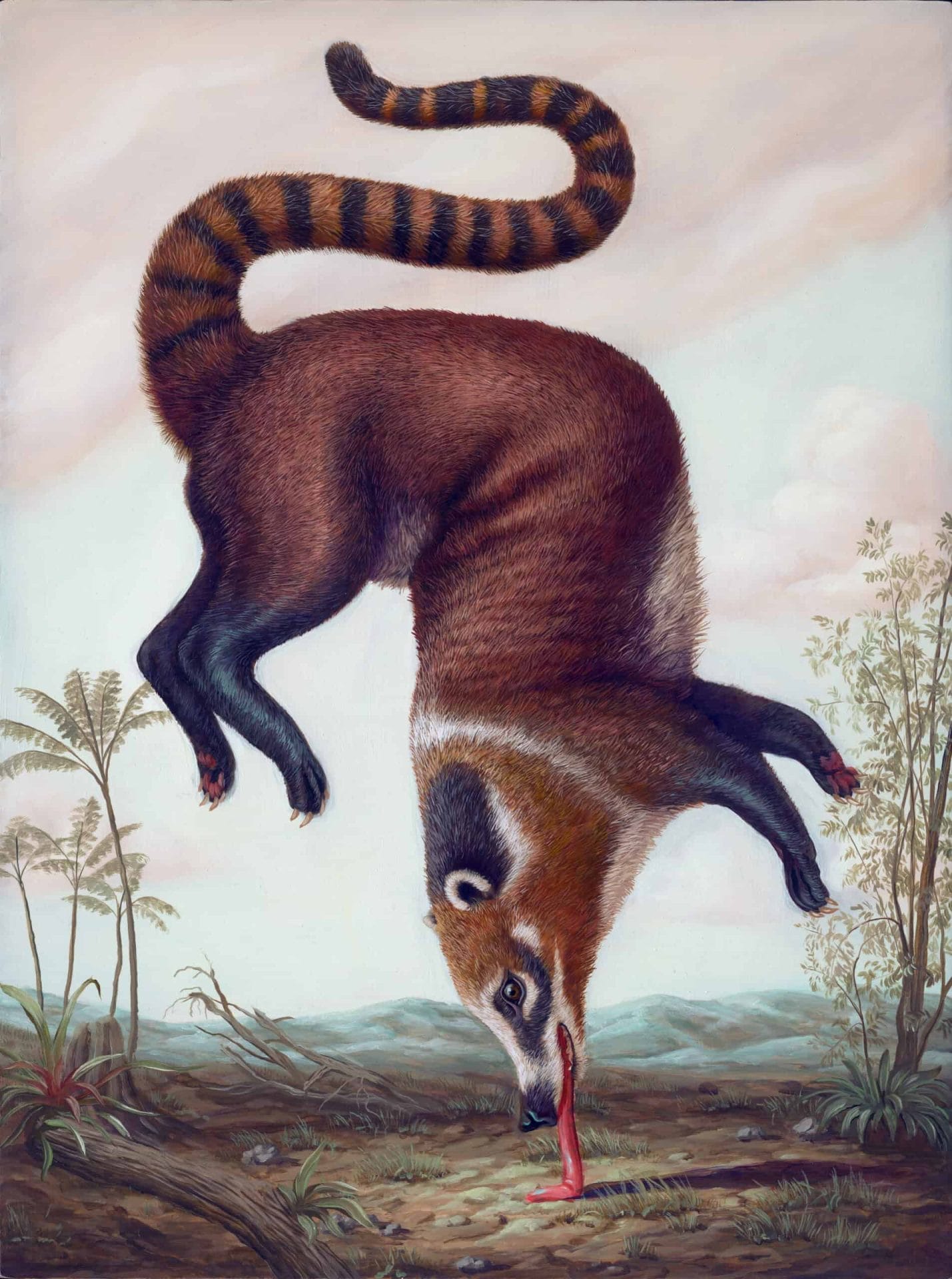 Dieren in absurde poses door Bruno Pontiroli