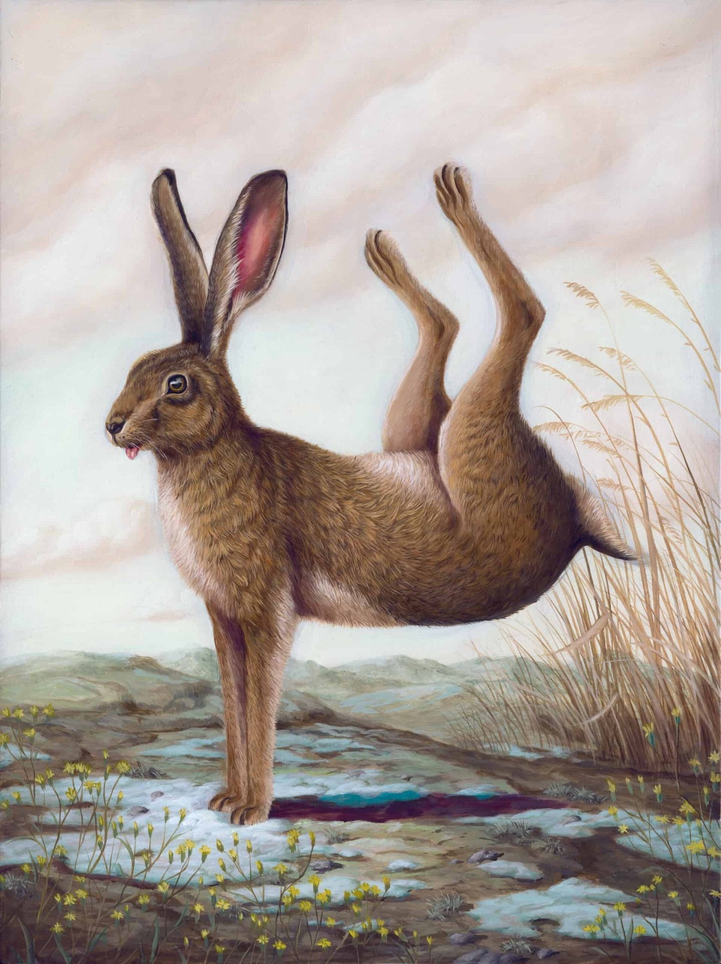 Dieren in absurde poses door Bruno Pontiroli