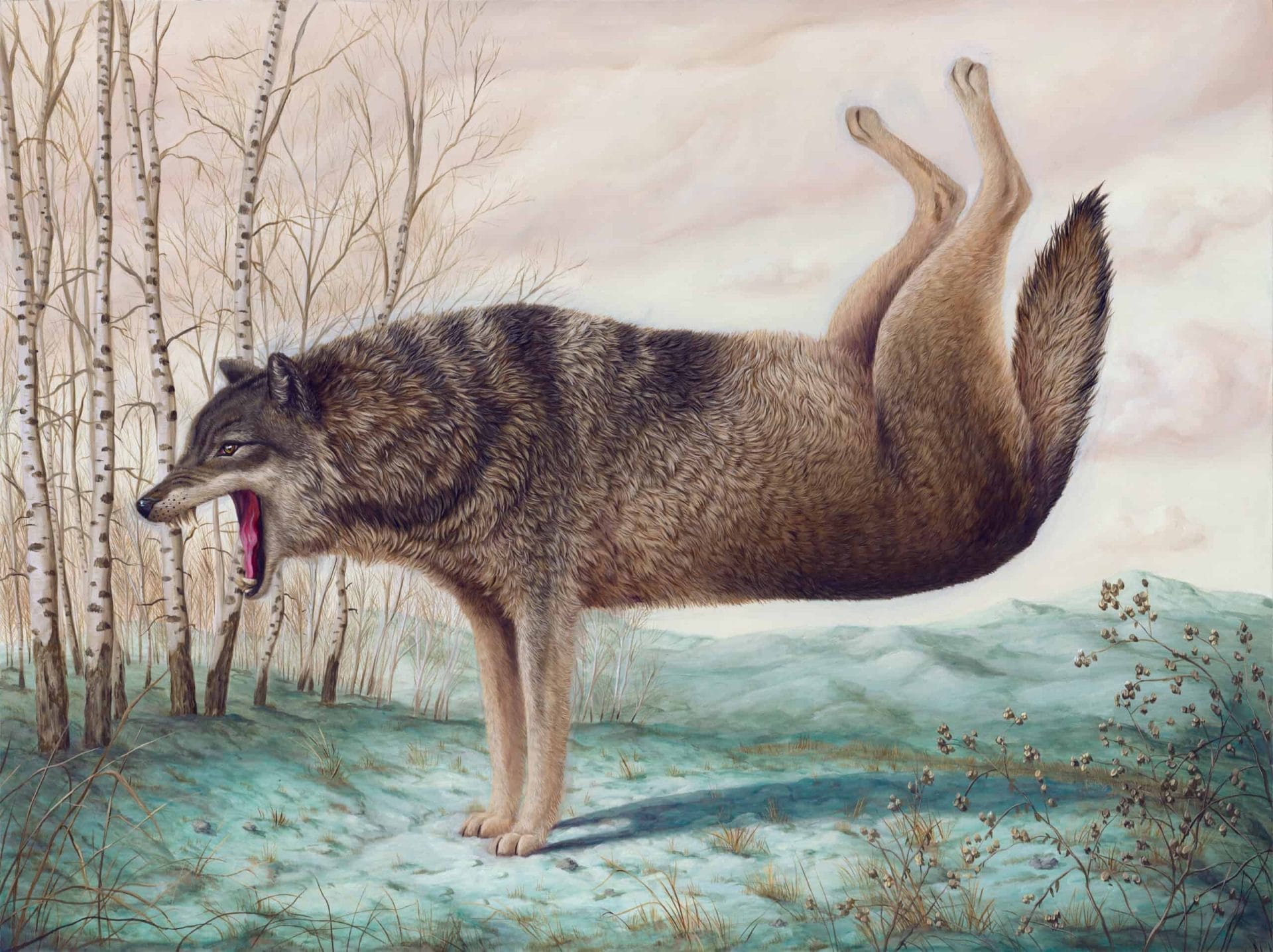 Dieren in absurde poses door Bruno Pontiroli