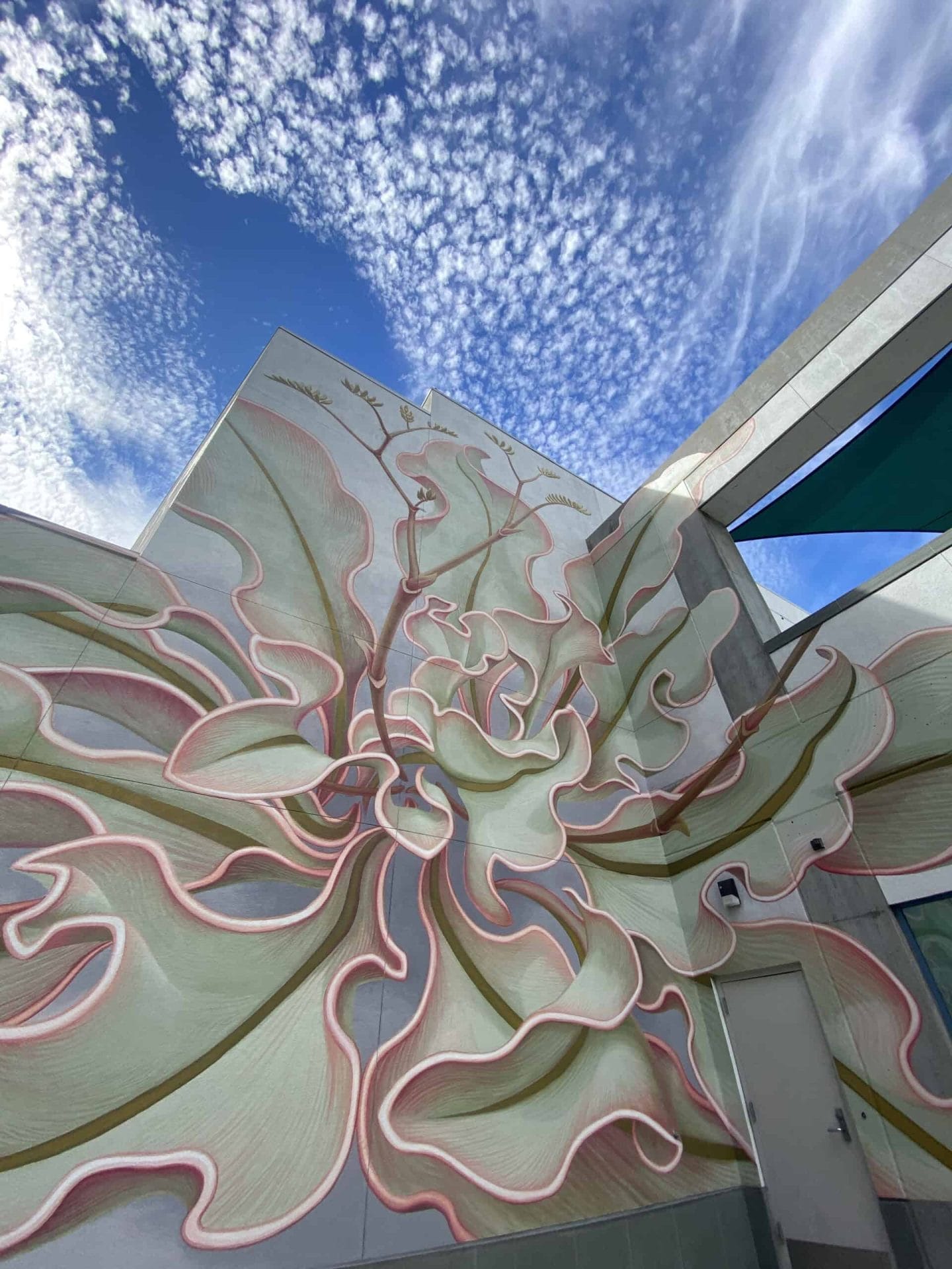 Mona Caron - Limonium