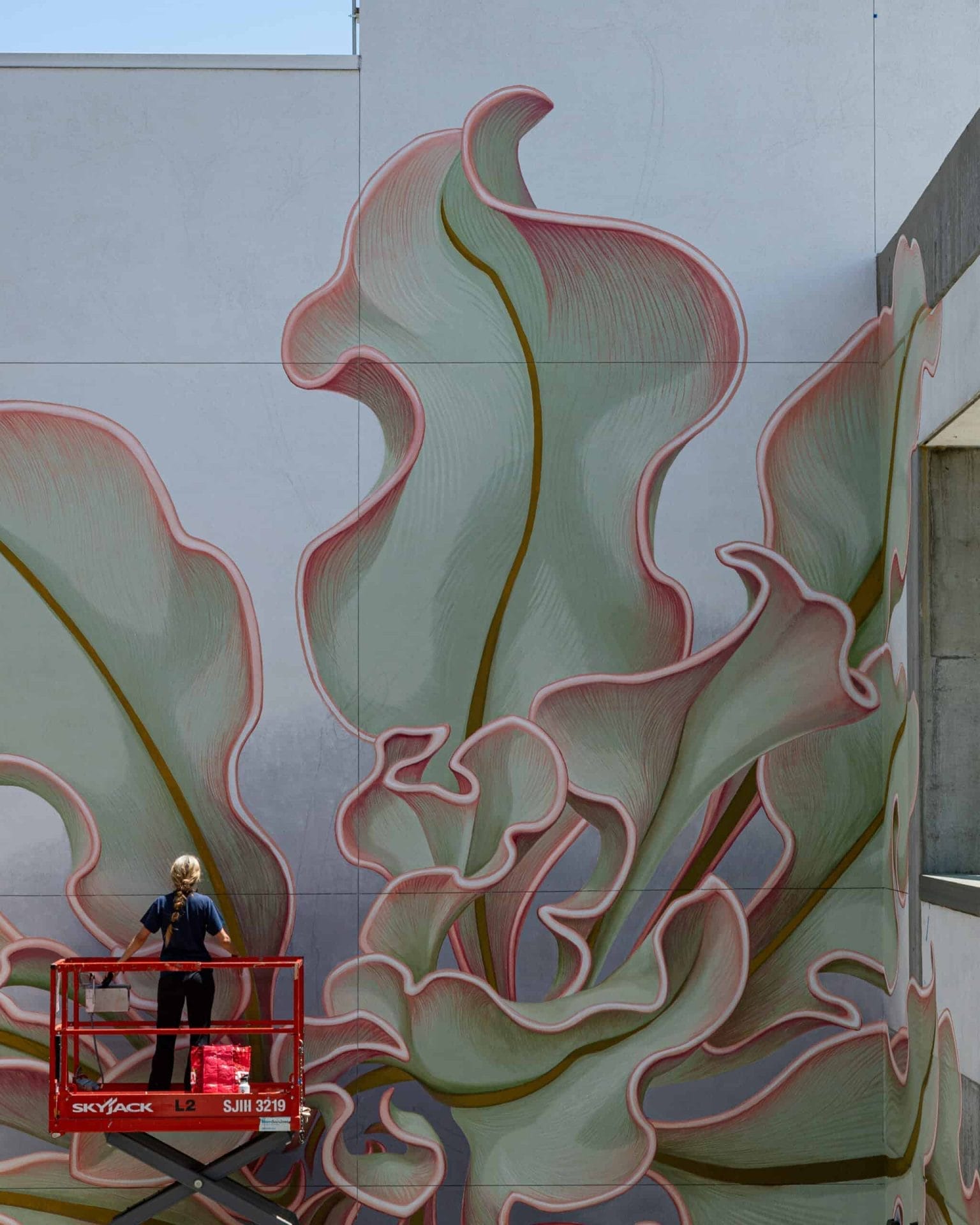 Mona Caron - Limonium