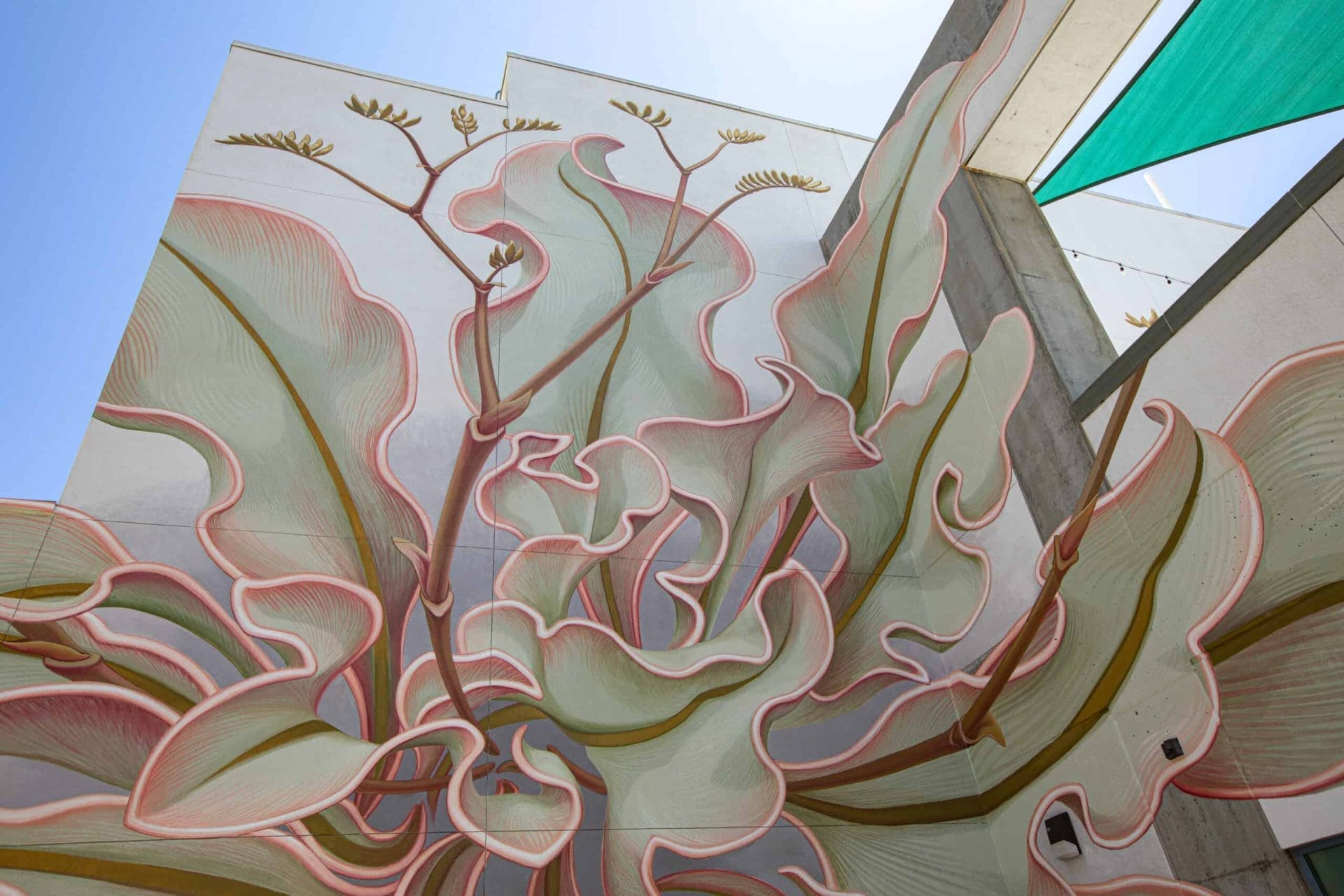 Mona Caron - Limonium