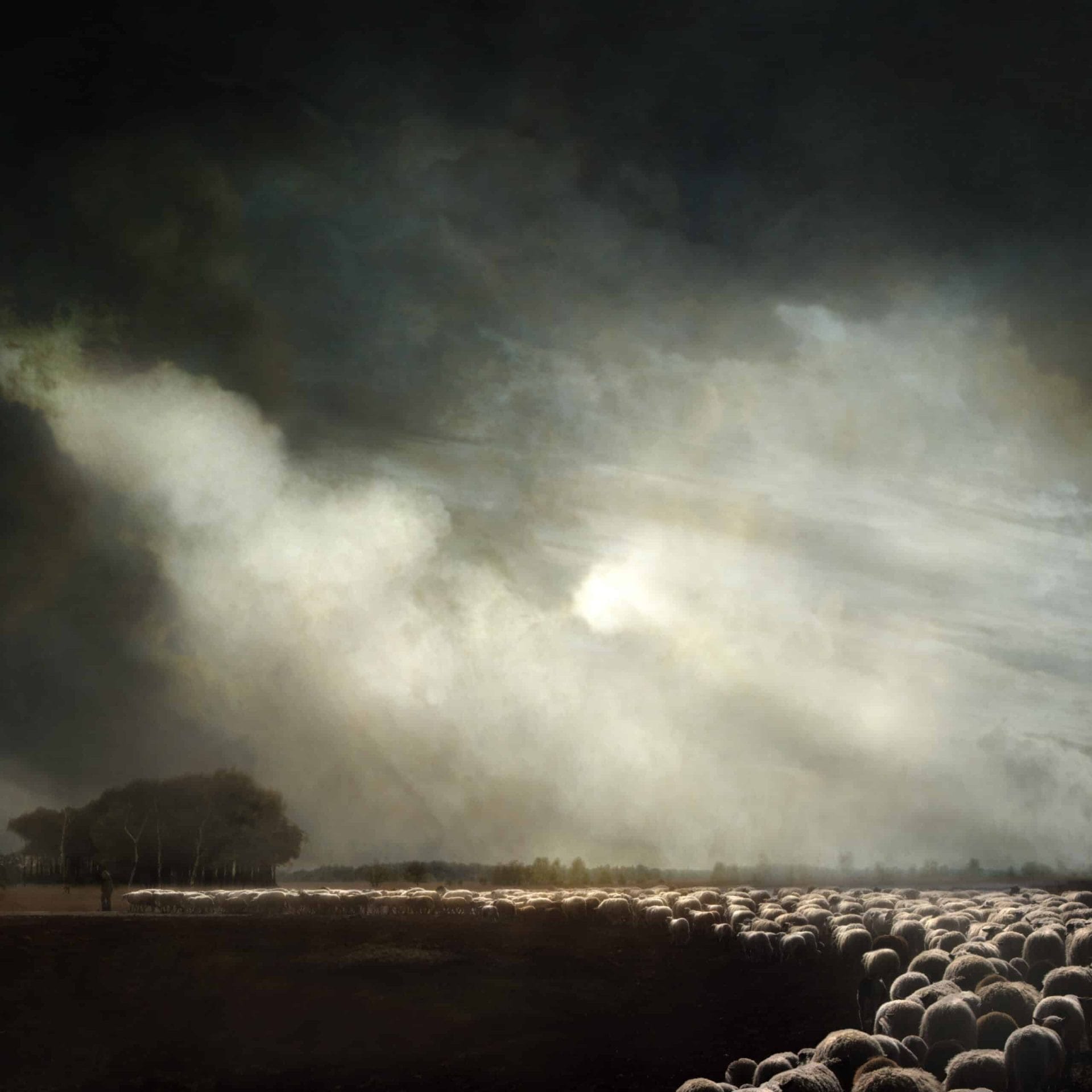 Saskia Boelsums exposeert in Teylers Museum 41 Saskia Boelsums - landschapsfotografie