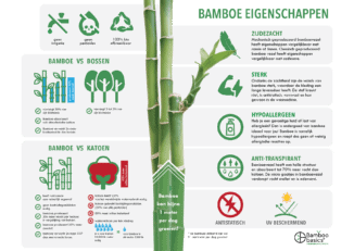 Bamboe infographic