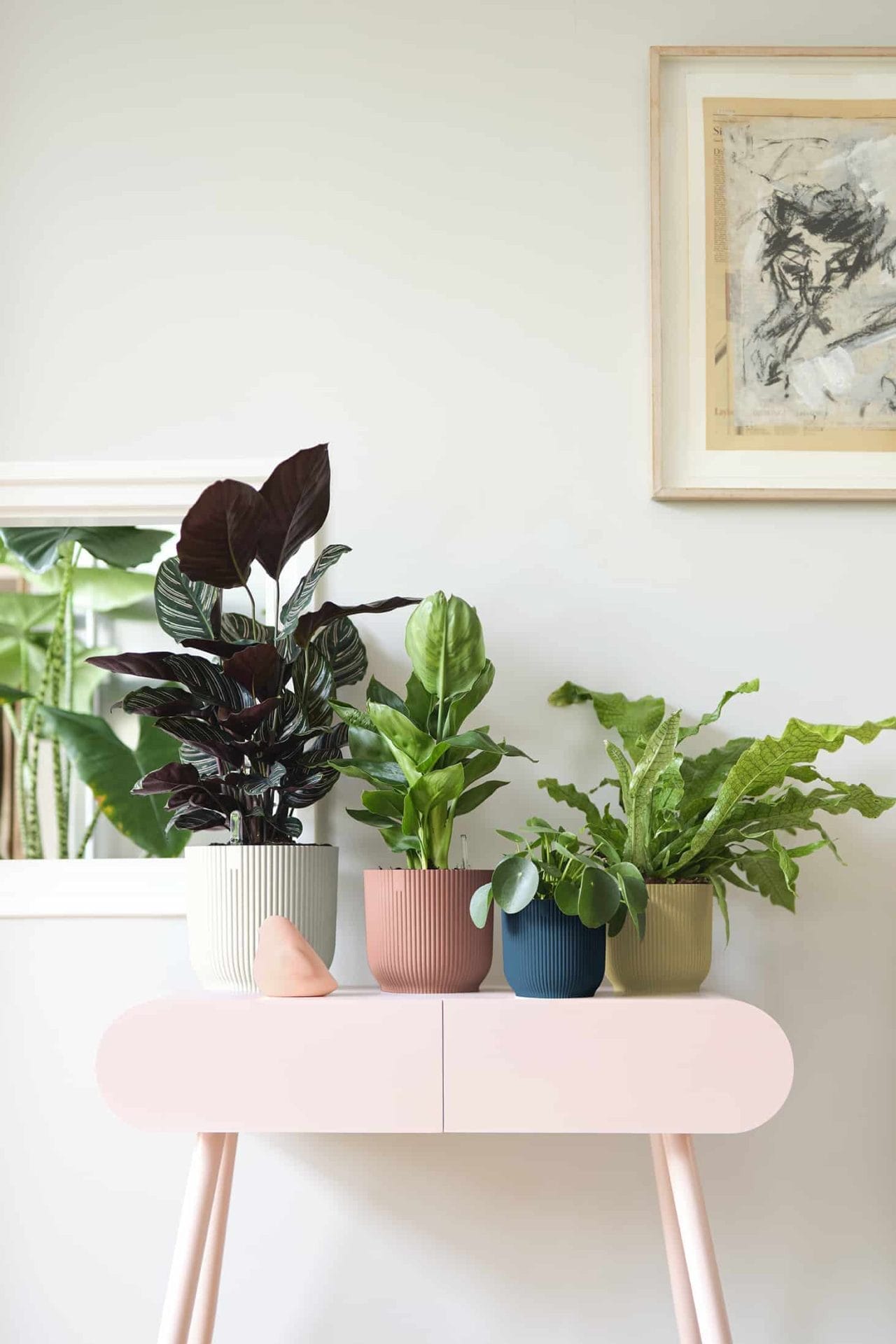 elho vibes collectie