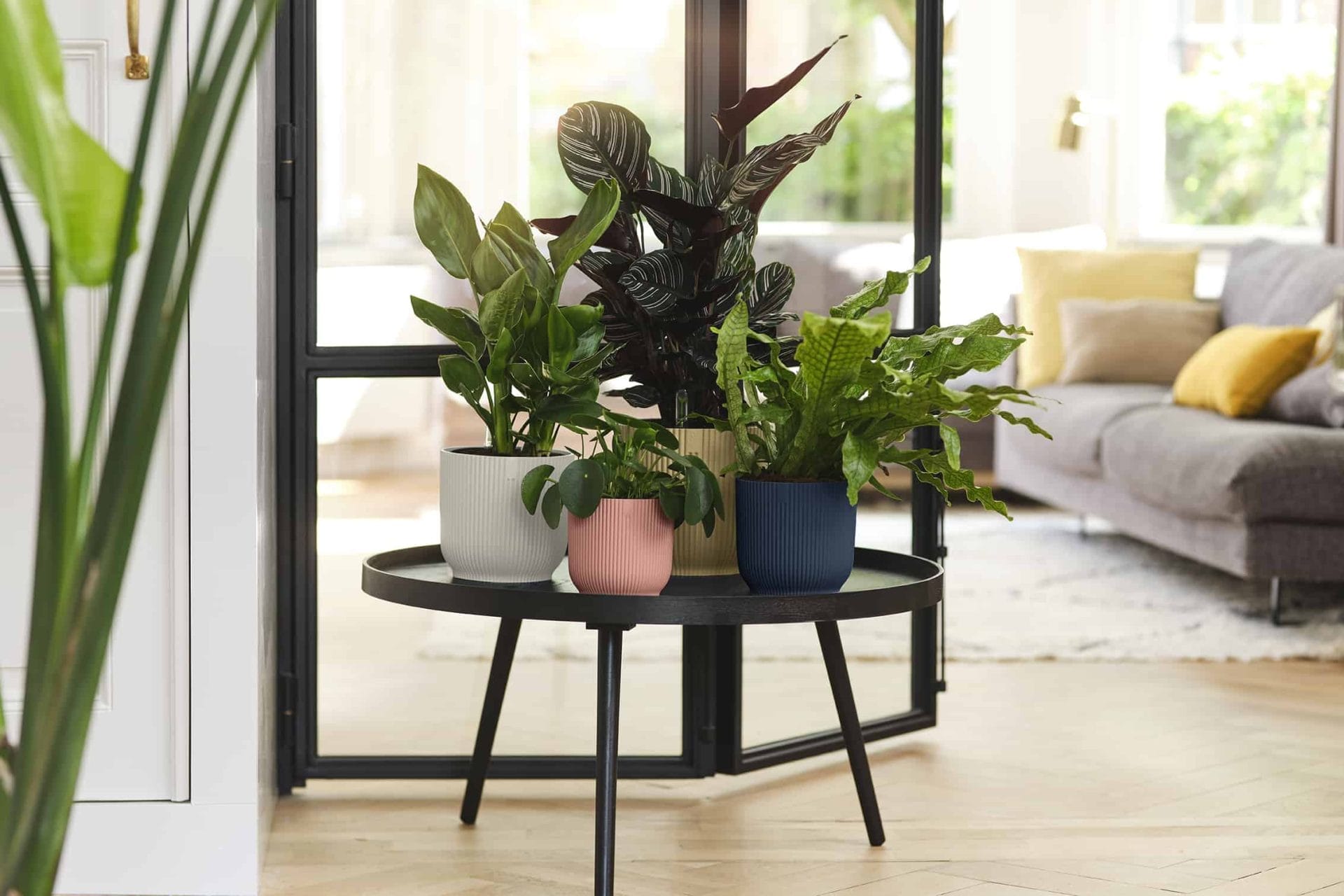 elho vibes collectie