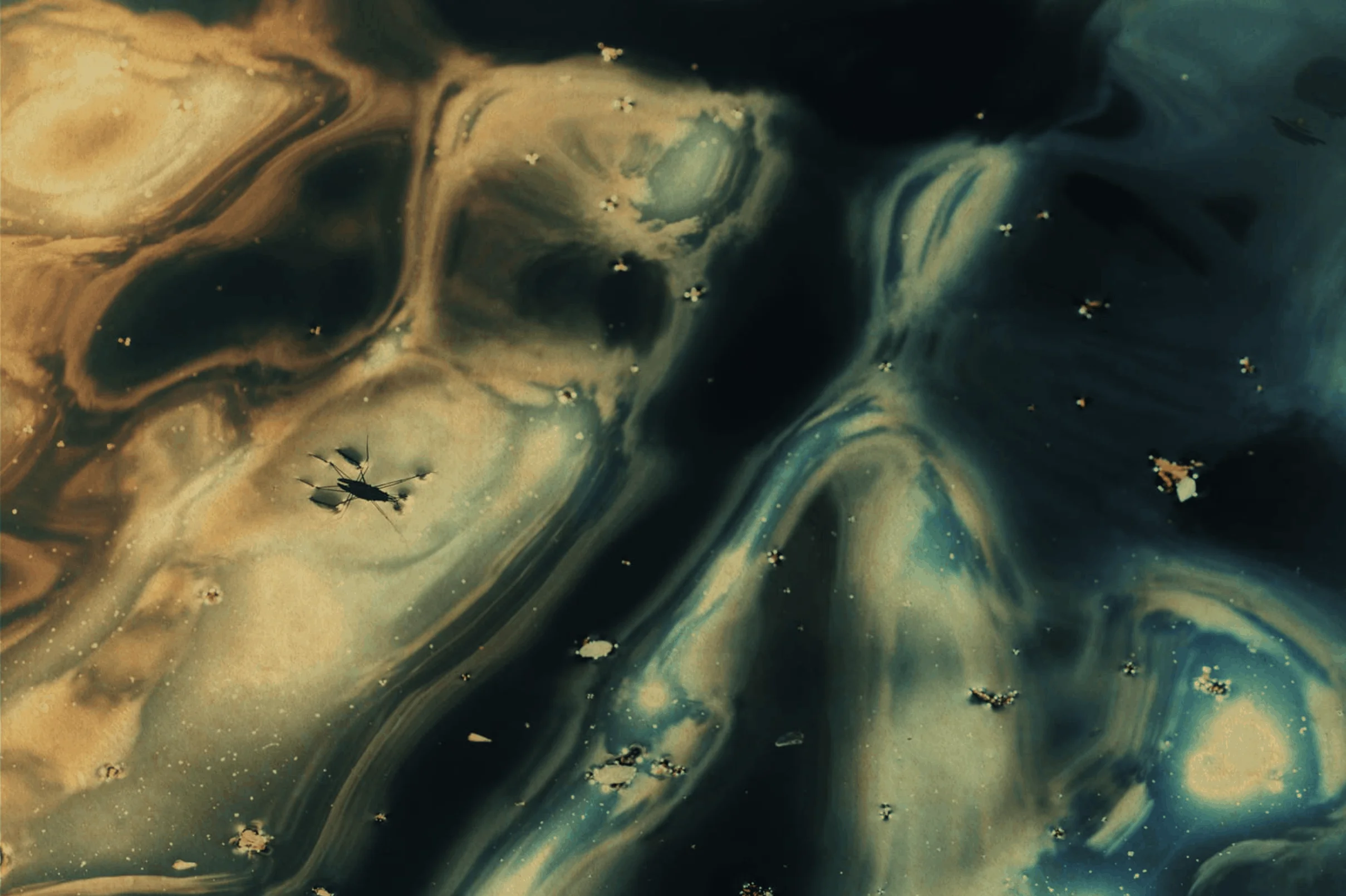 Albarrán Cabrera - Ibasho Gallery