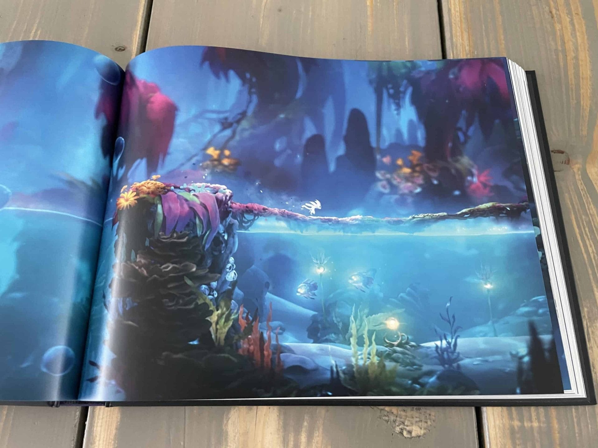 The Art of Ori and the Will of the Wisps