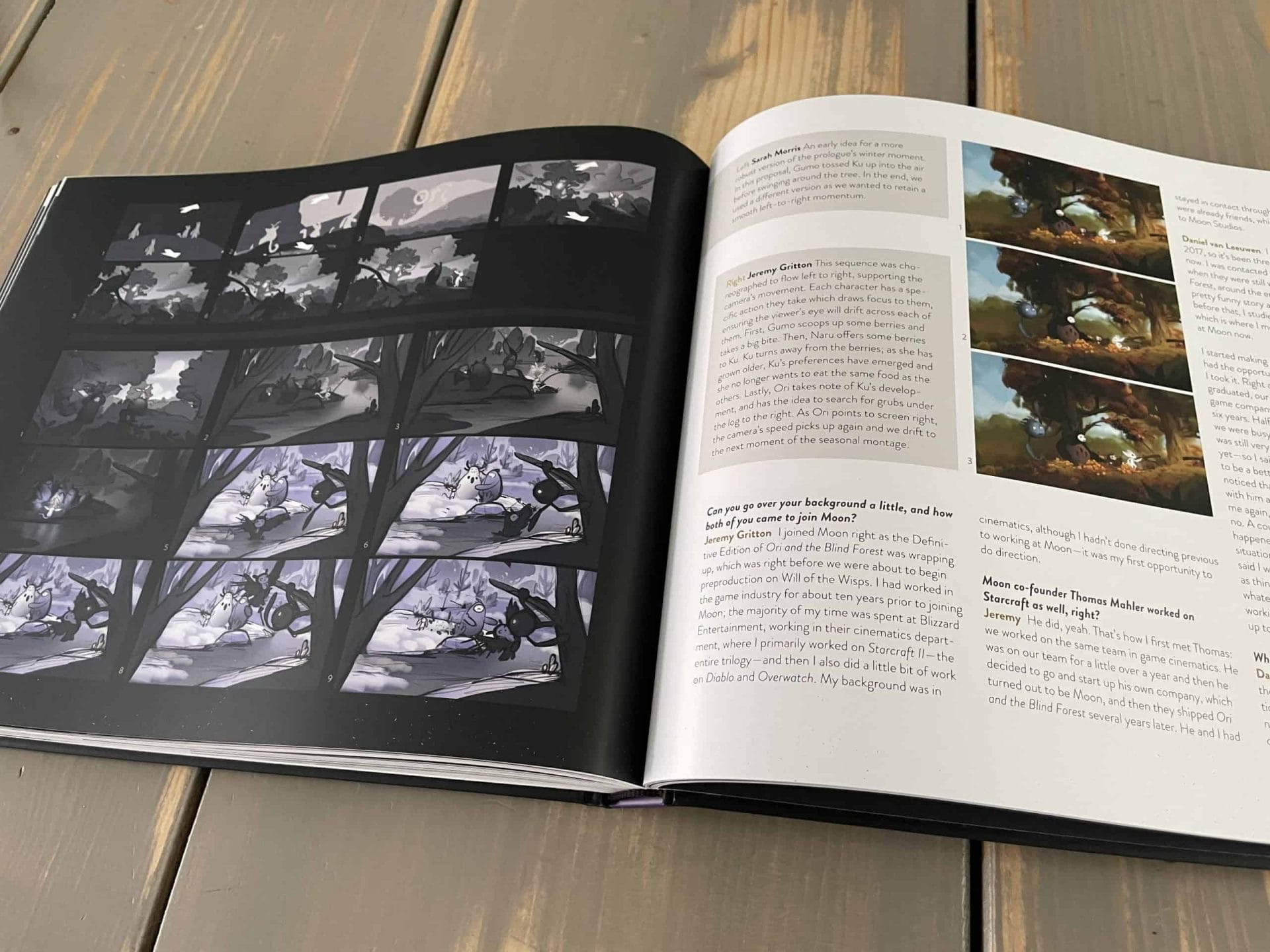 The Art of Ori and the Will of the Wisps