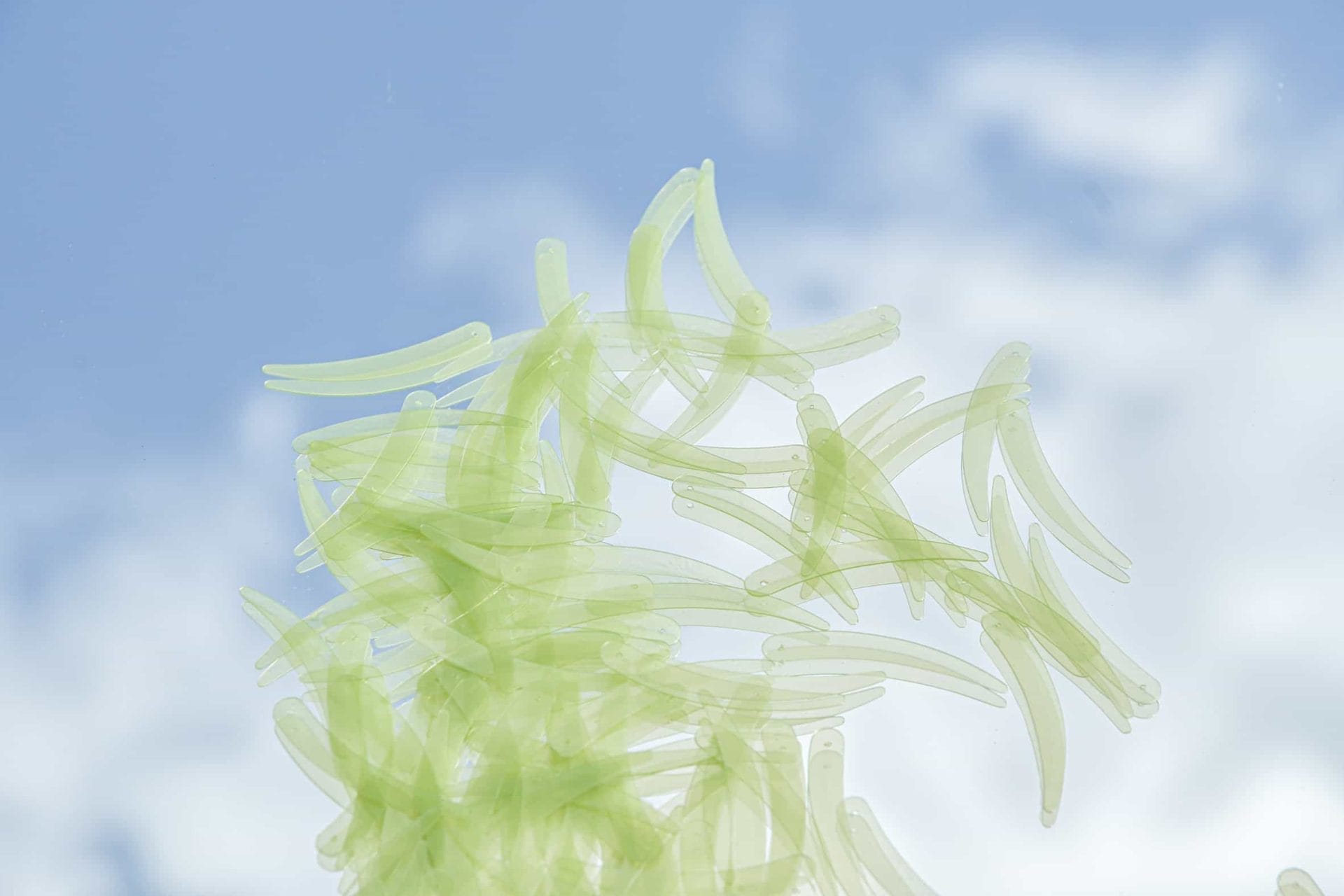 Phillip Lim en Charlotte McCurdy maken jurk van algen