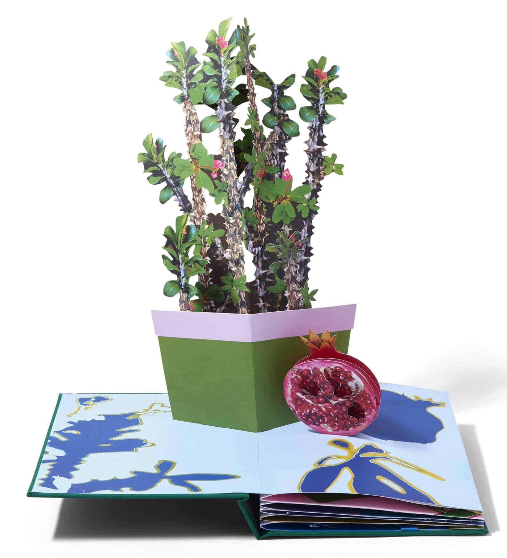 kamerplanten pop ip boek 1 scaled