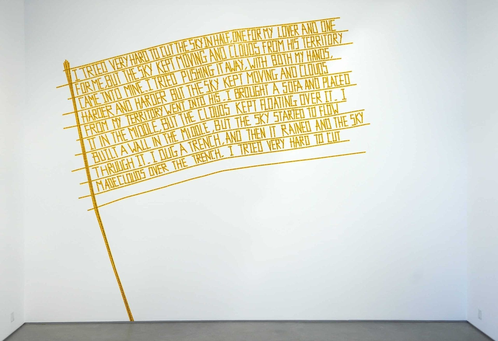 Shilpa Gupta, Un,tled (There is No Border Here), 2005-2006.