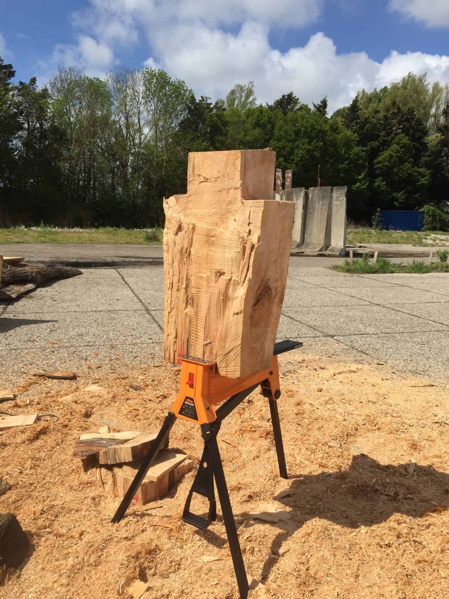 Houten sculptuur van Boris Paval Conen