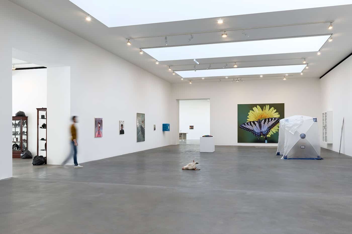 Fact Paintings en Fact Sculptures van Damien Hirst