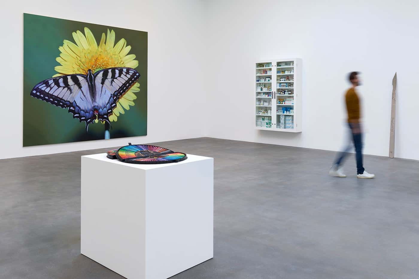 Fact Paintings en Fact Sculptures van Damien Hirst