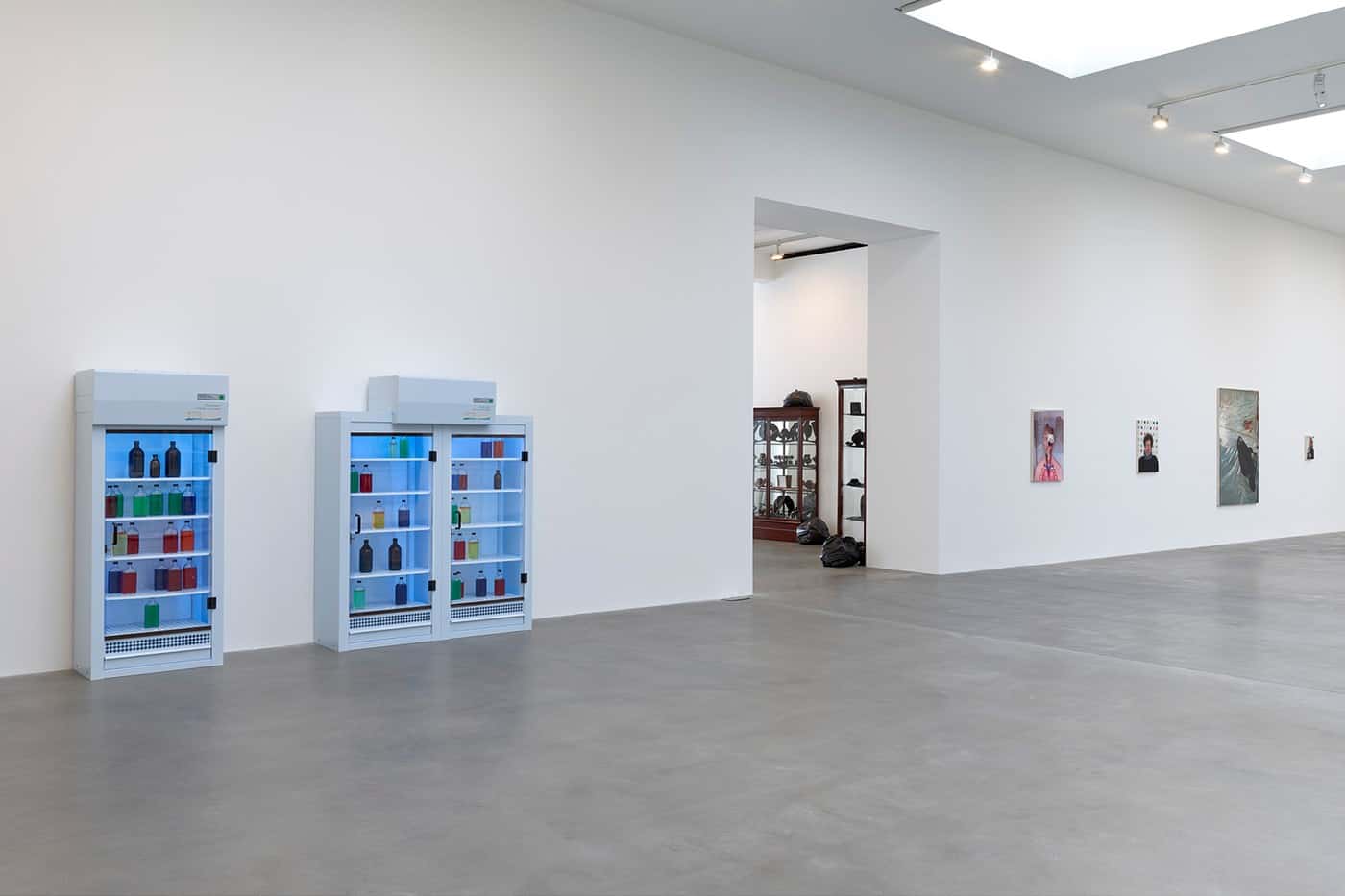 Fact Paintings en Fact Sculptures van Damien Hirst