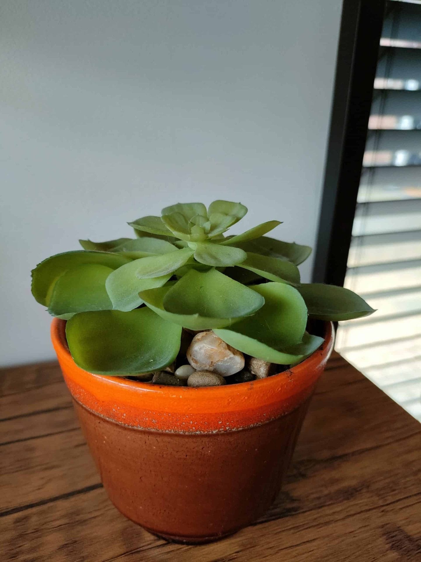 Review Oppo Find X3 Lite