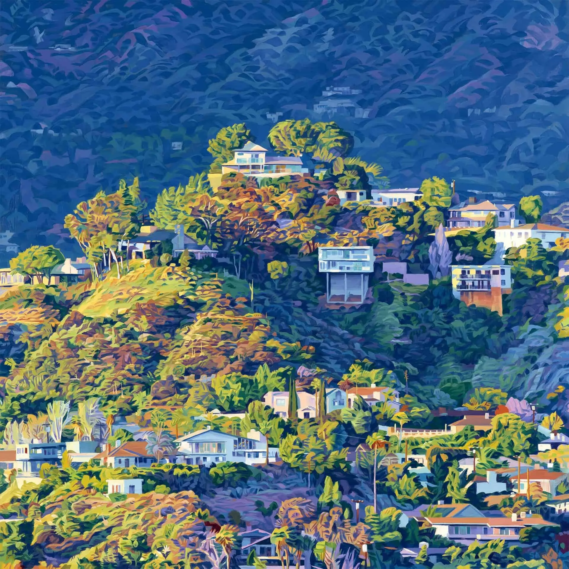 Prachtig licht in de heuvels van Los Angeles 46 Seth Armstrong