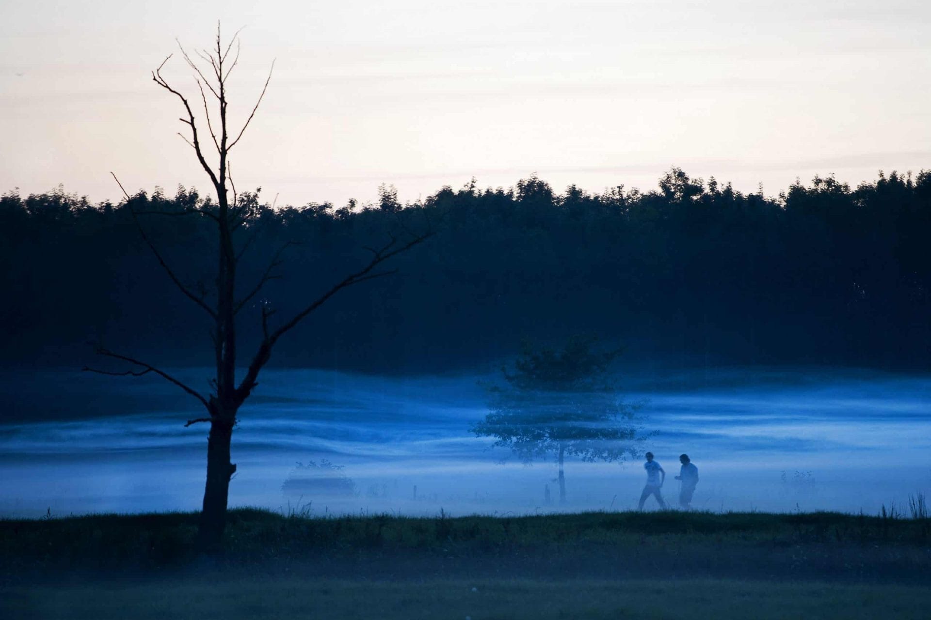 Het Friese landschap ontdekken met 4 pelgrimsroutes
