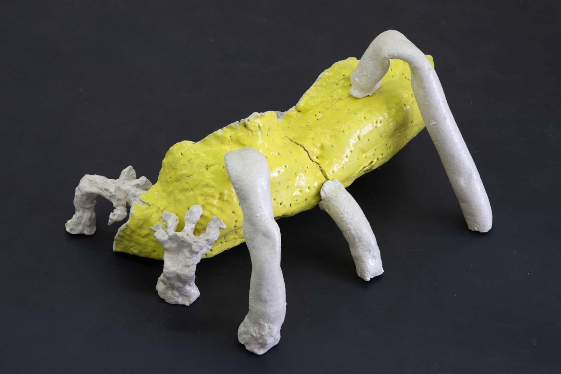 Huidenclub Rotterdam