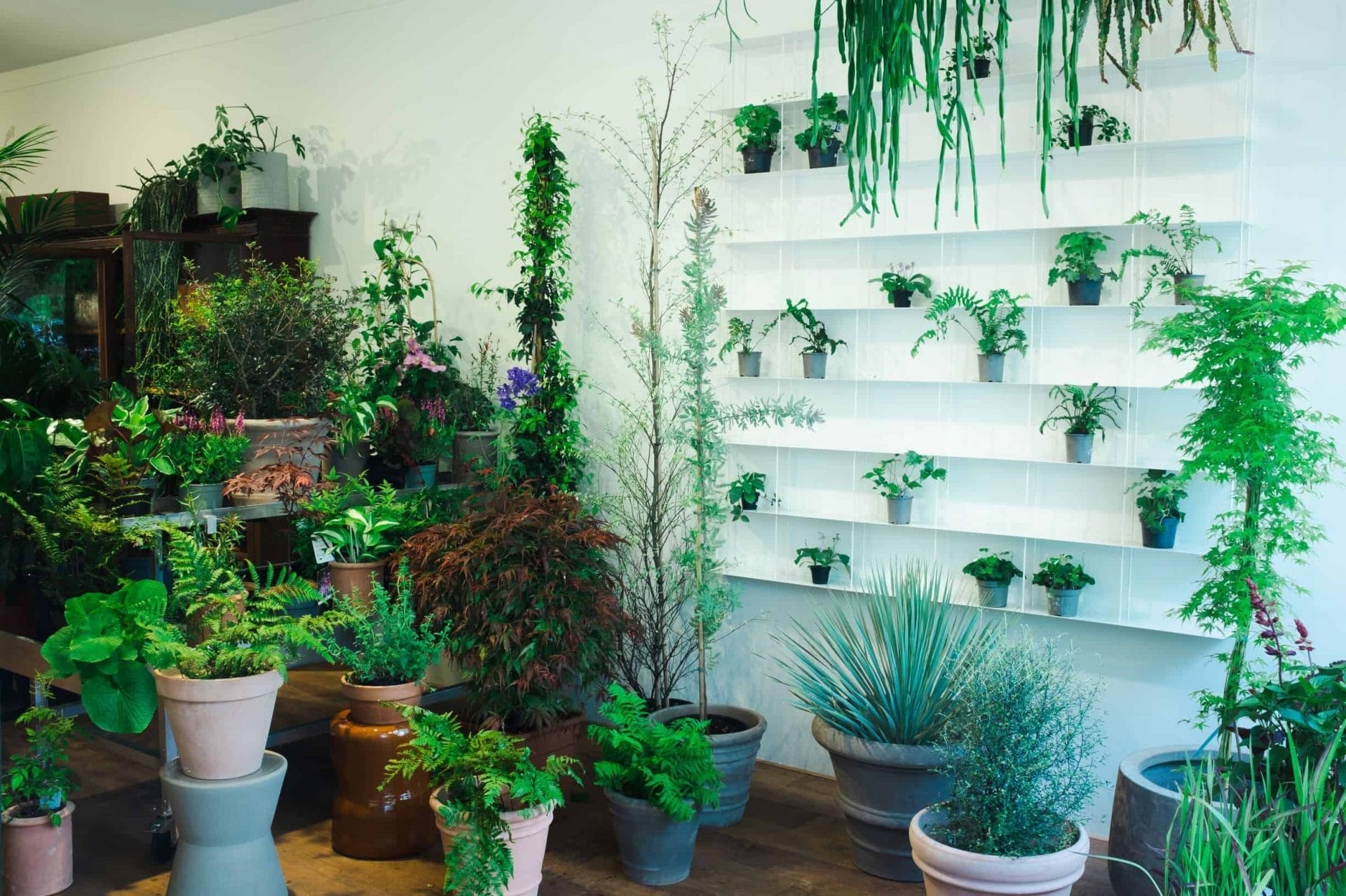 Groen door Rick van het Meer