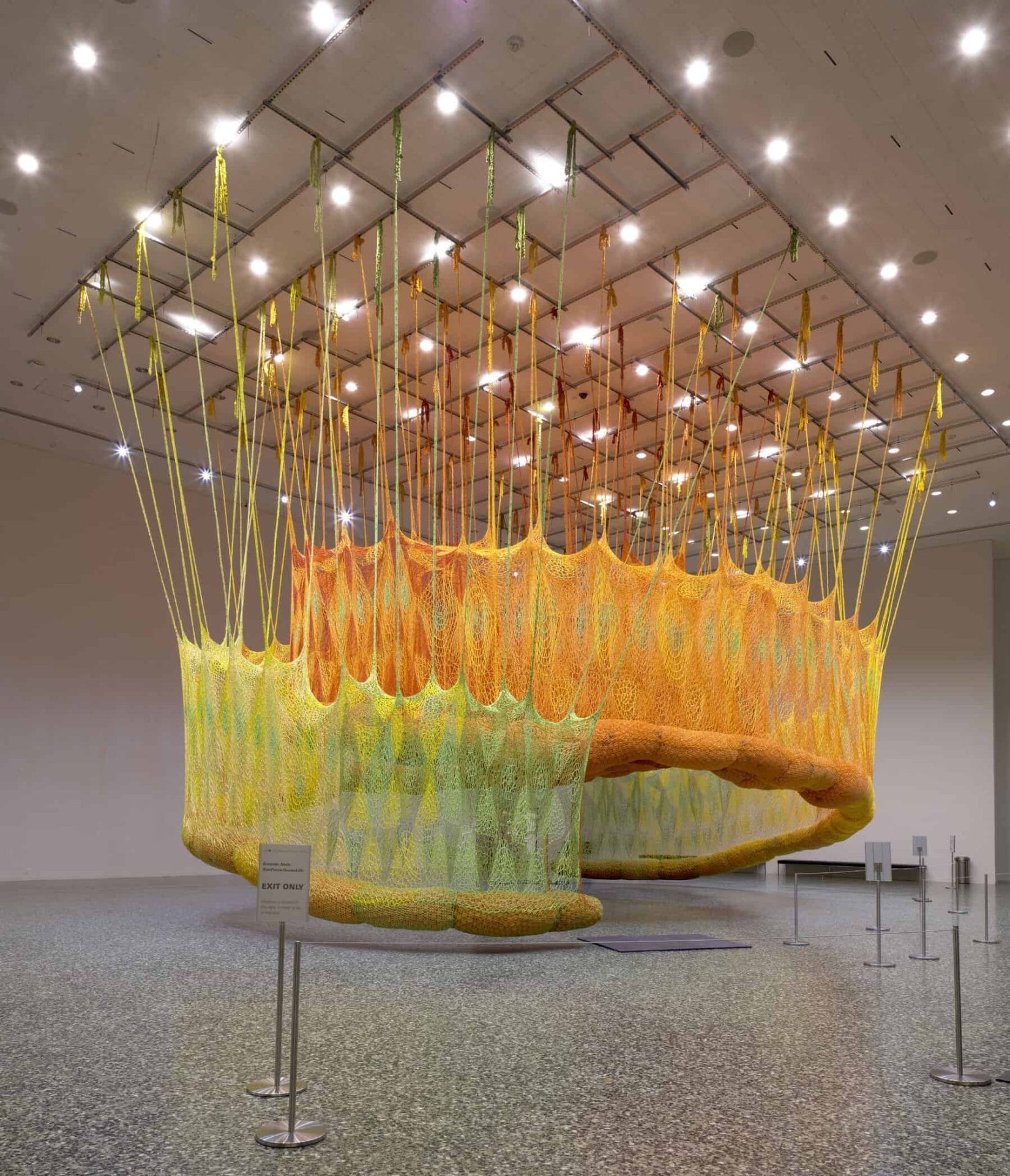 Ernesto Neto - SunForceOceanLife