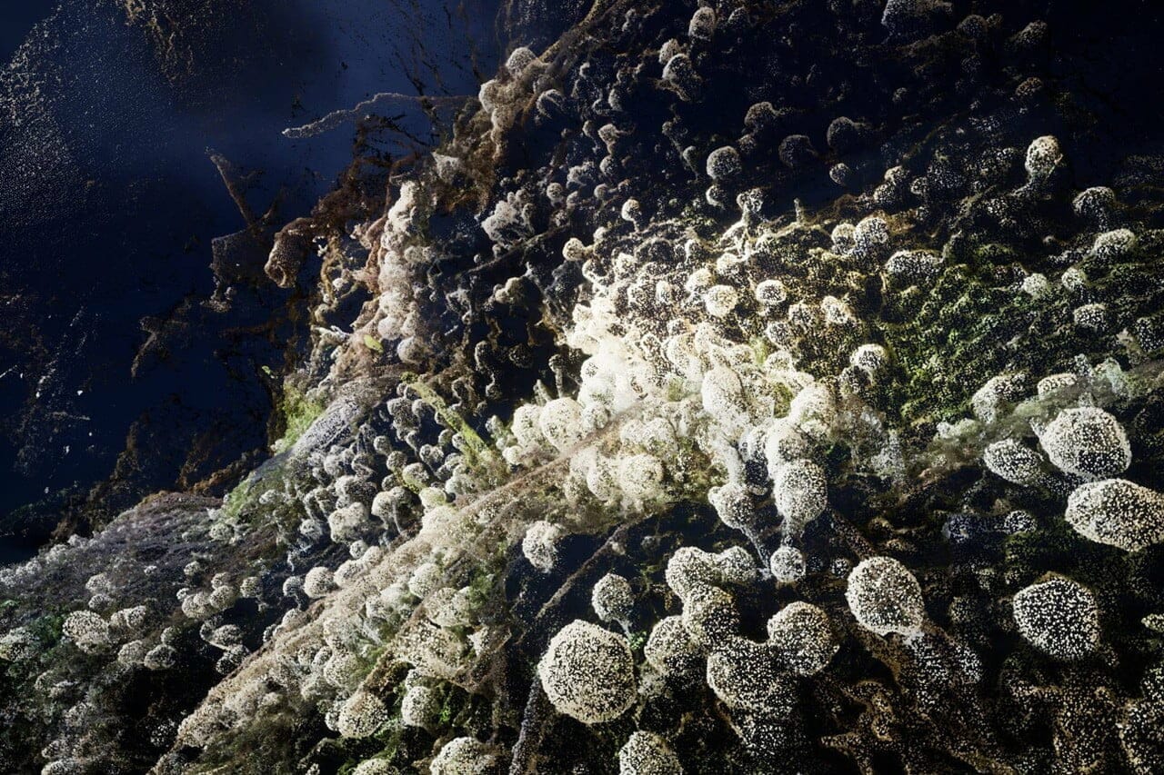 Jakob Kudsk Steensen - Berl-Berl