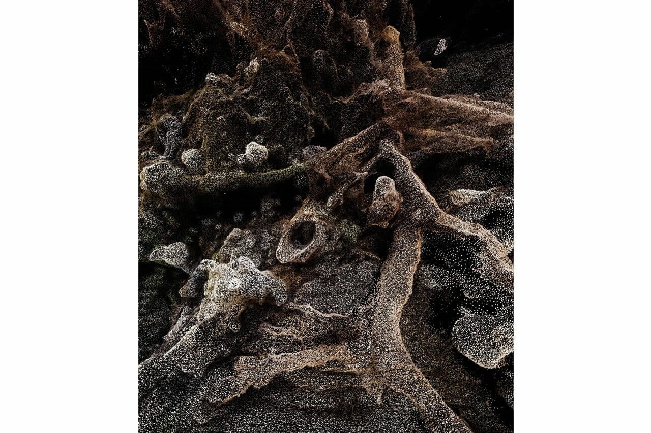 Jakob Kudsk Steensen - Berl-Berl