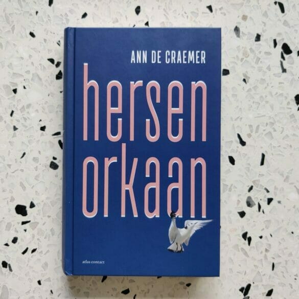 Ann De Craemer - Hersenorkaan