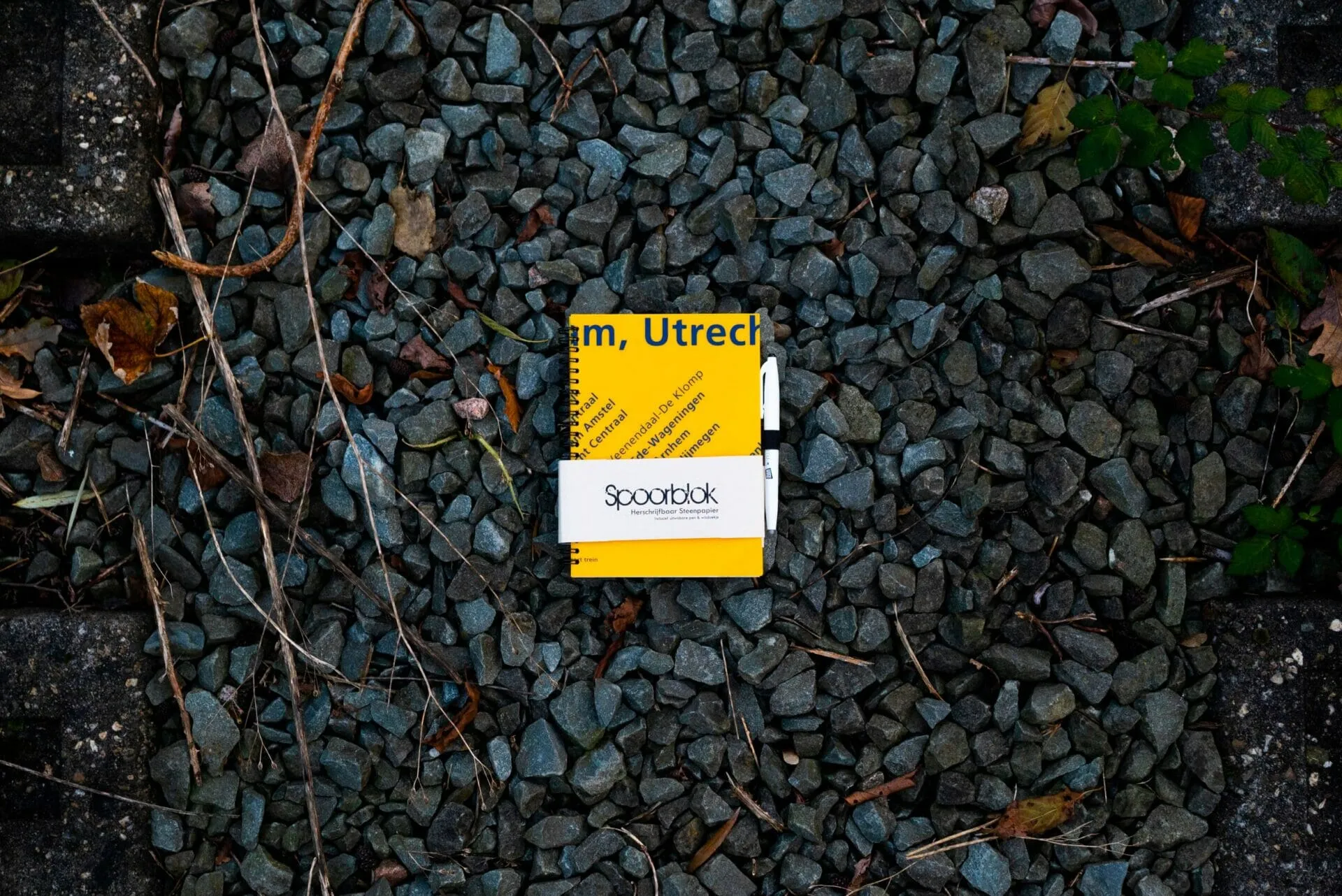 MOYU x VerdraaidGoed