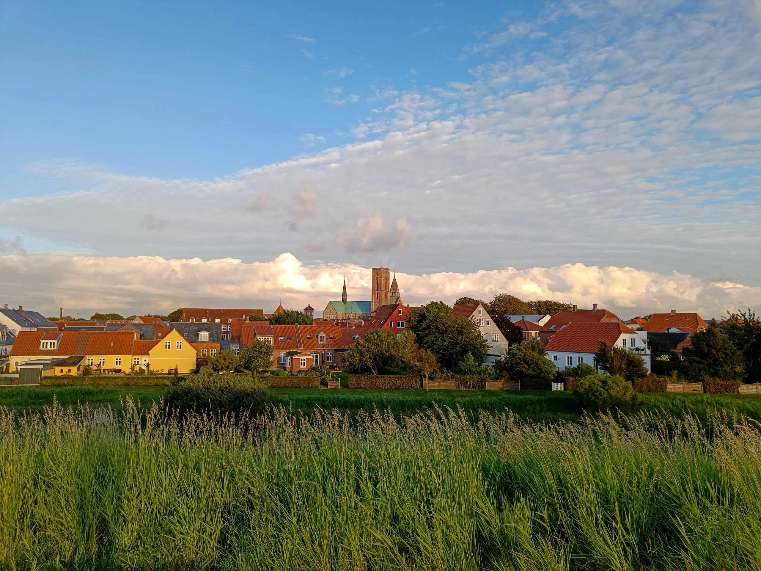Ribe: het oudste stadje van Denemarken