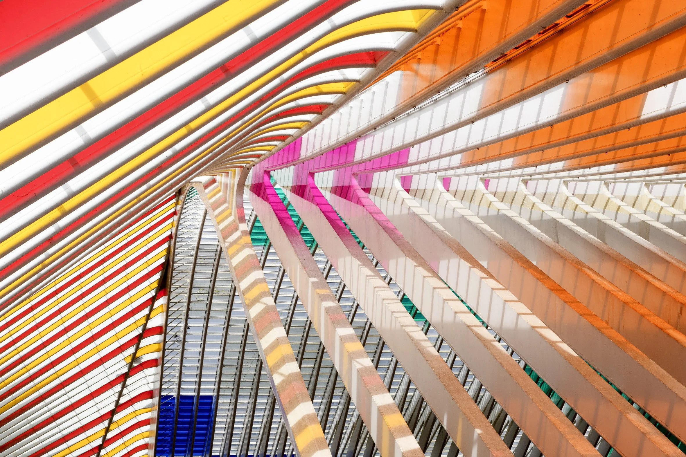 Comme tombées du ciel, les couleurs in situ et en mouvement