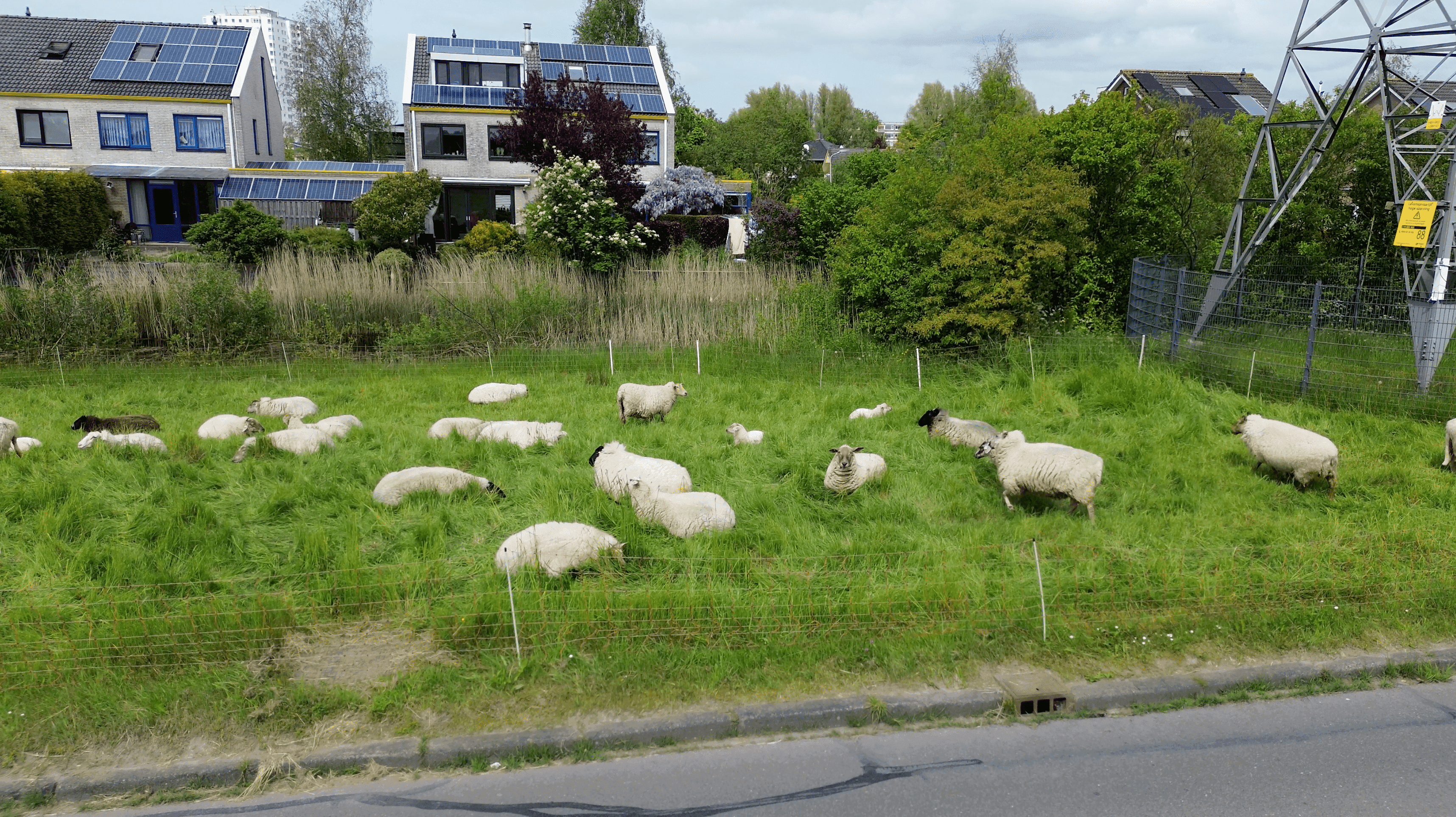 De lucht in met de DJI Mini 3