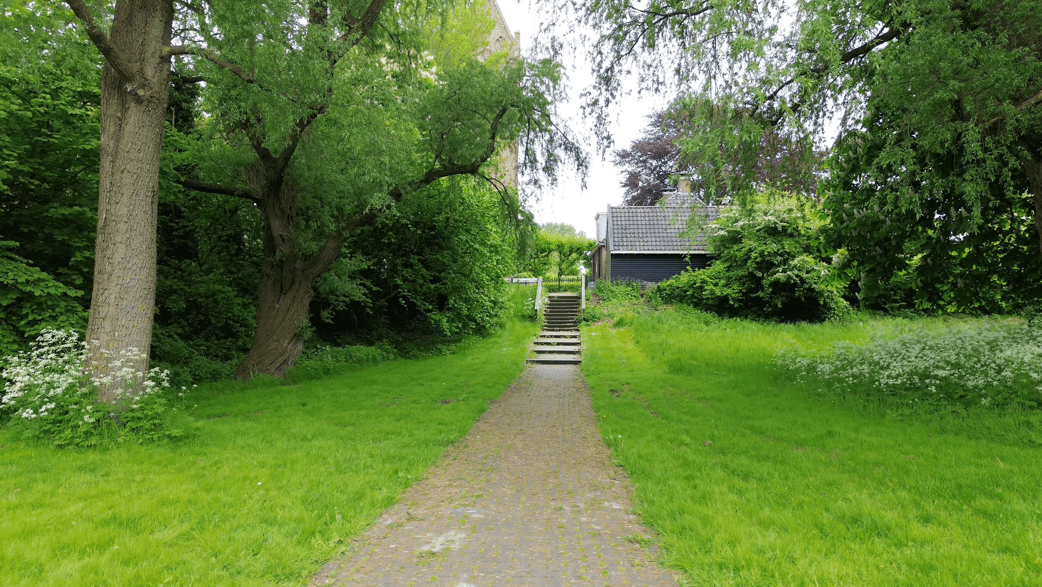 De lucht in met de DJI Mini 3