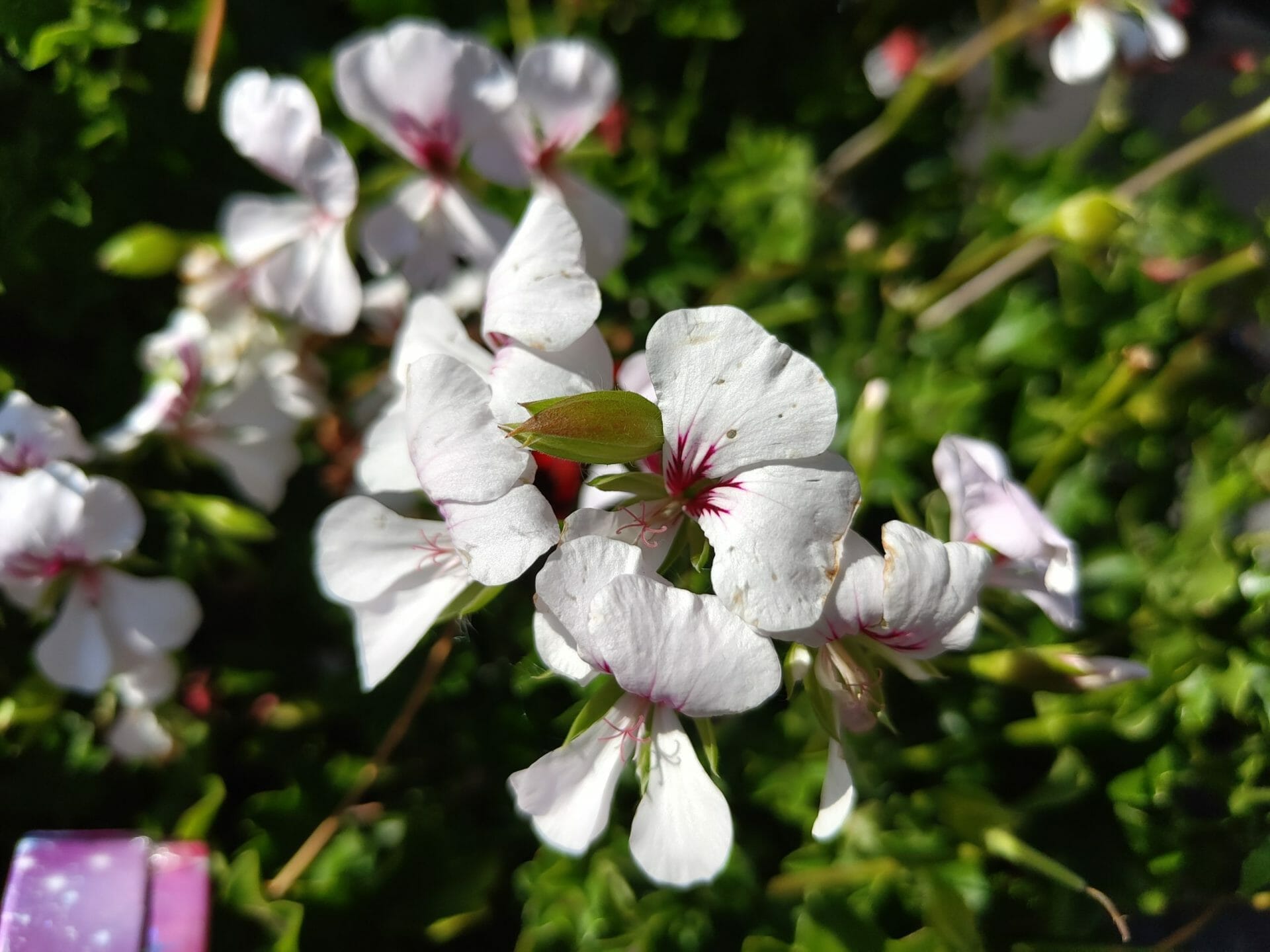 Review: Nothing Phone (2)