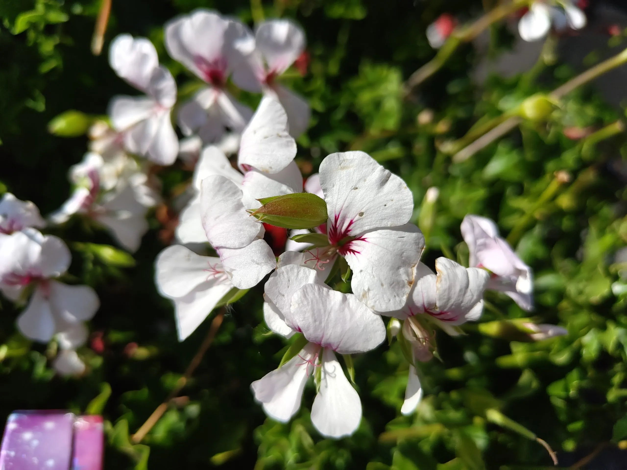 Review: Nothing Phone (2)