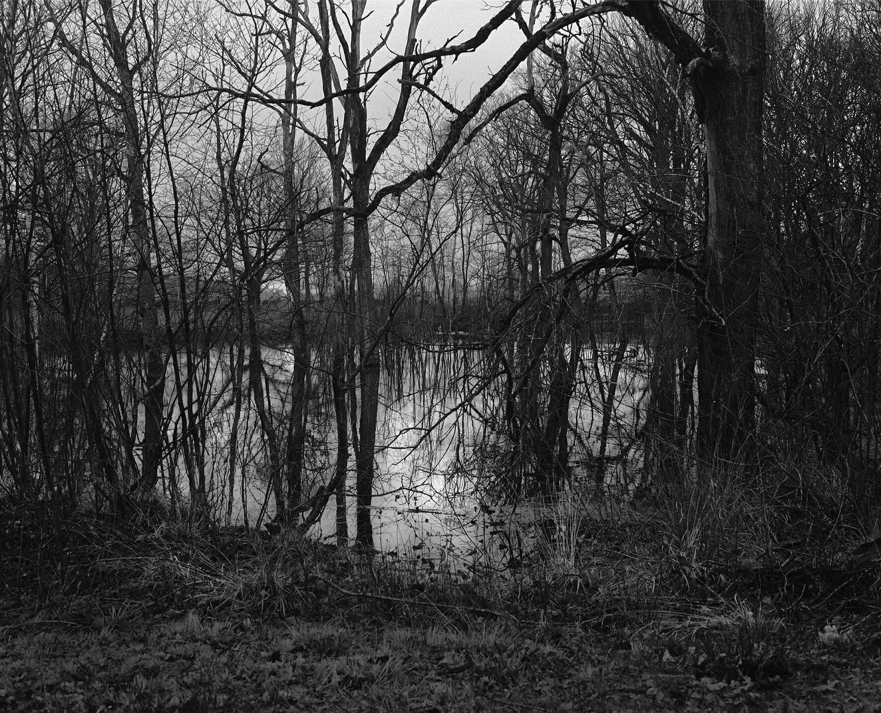 Unseen Photo Fair - Amsterdam - 2023