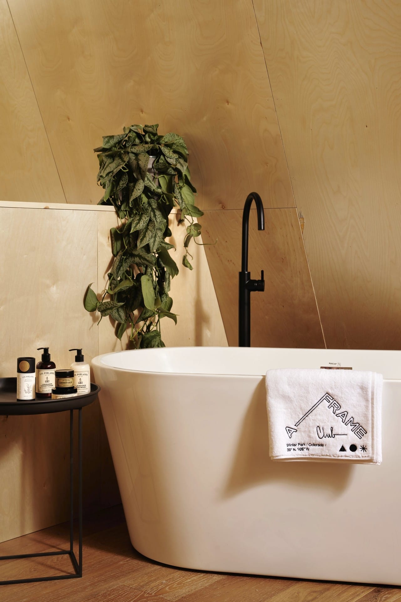 Skylab Architecture & The A-frame Club