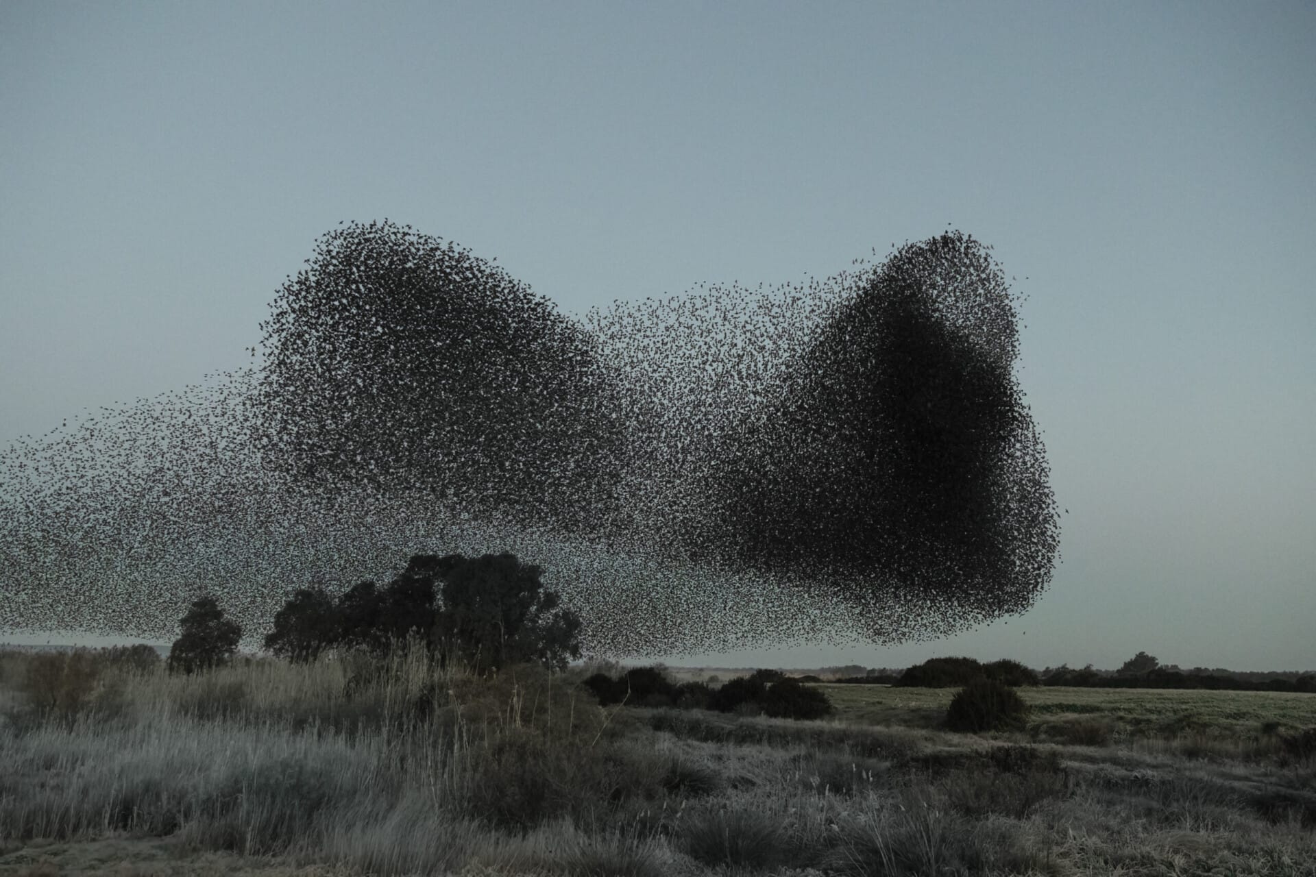 Søren Solkær - Black Sun