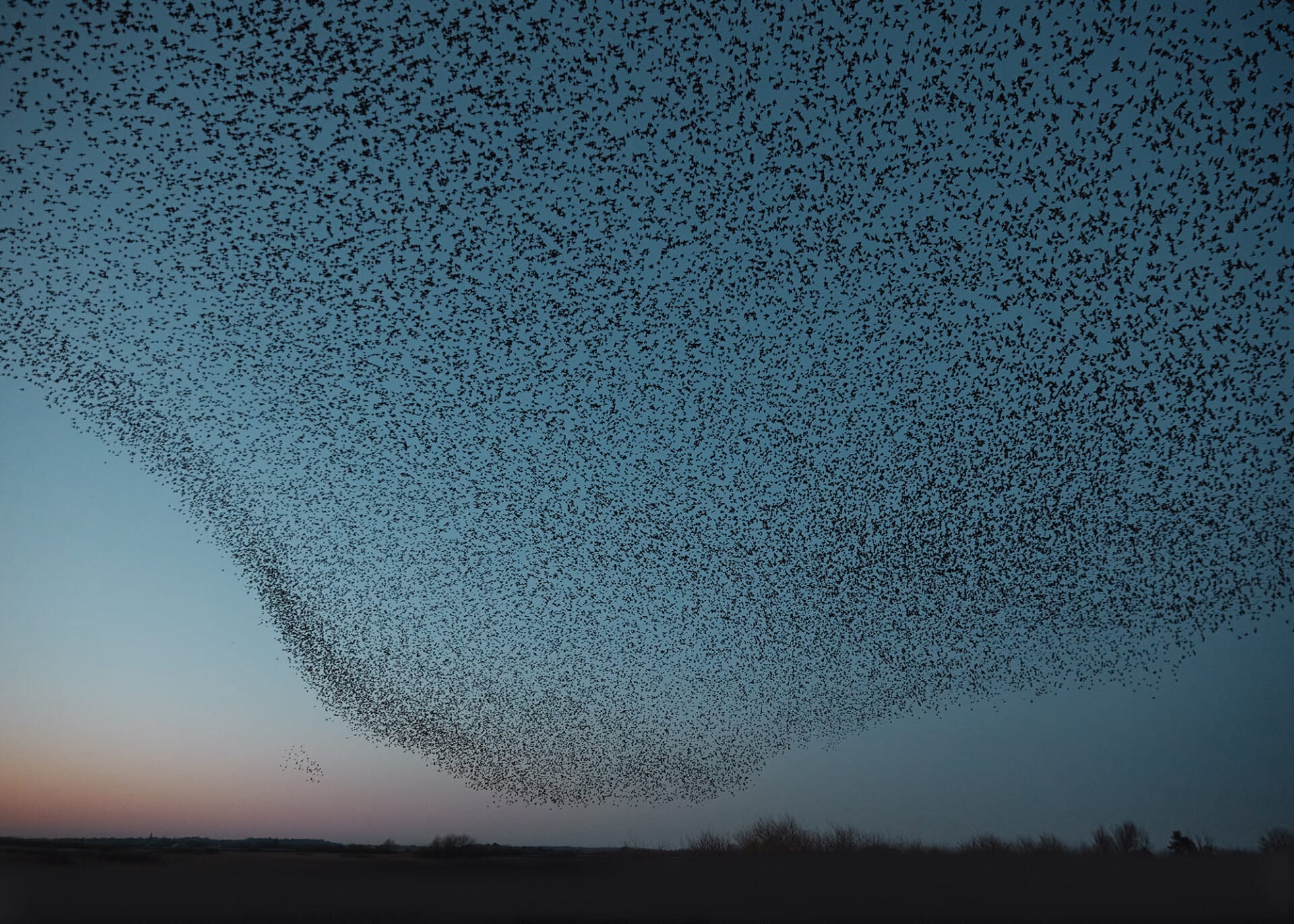 Søren Solkær - Black Sun