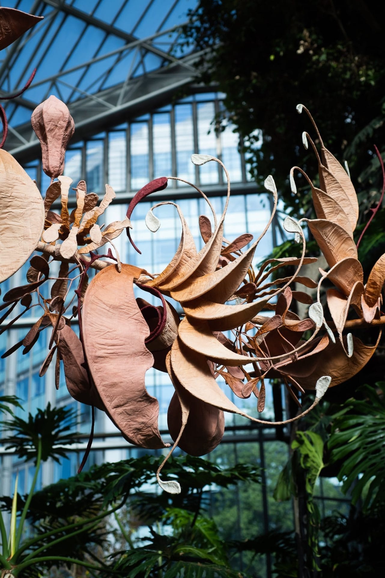 Ranjani Shettar: Cloud songs on the horizon