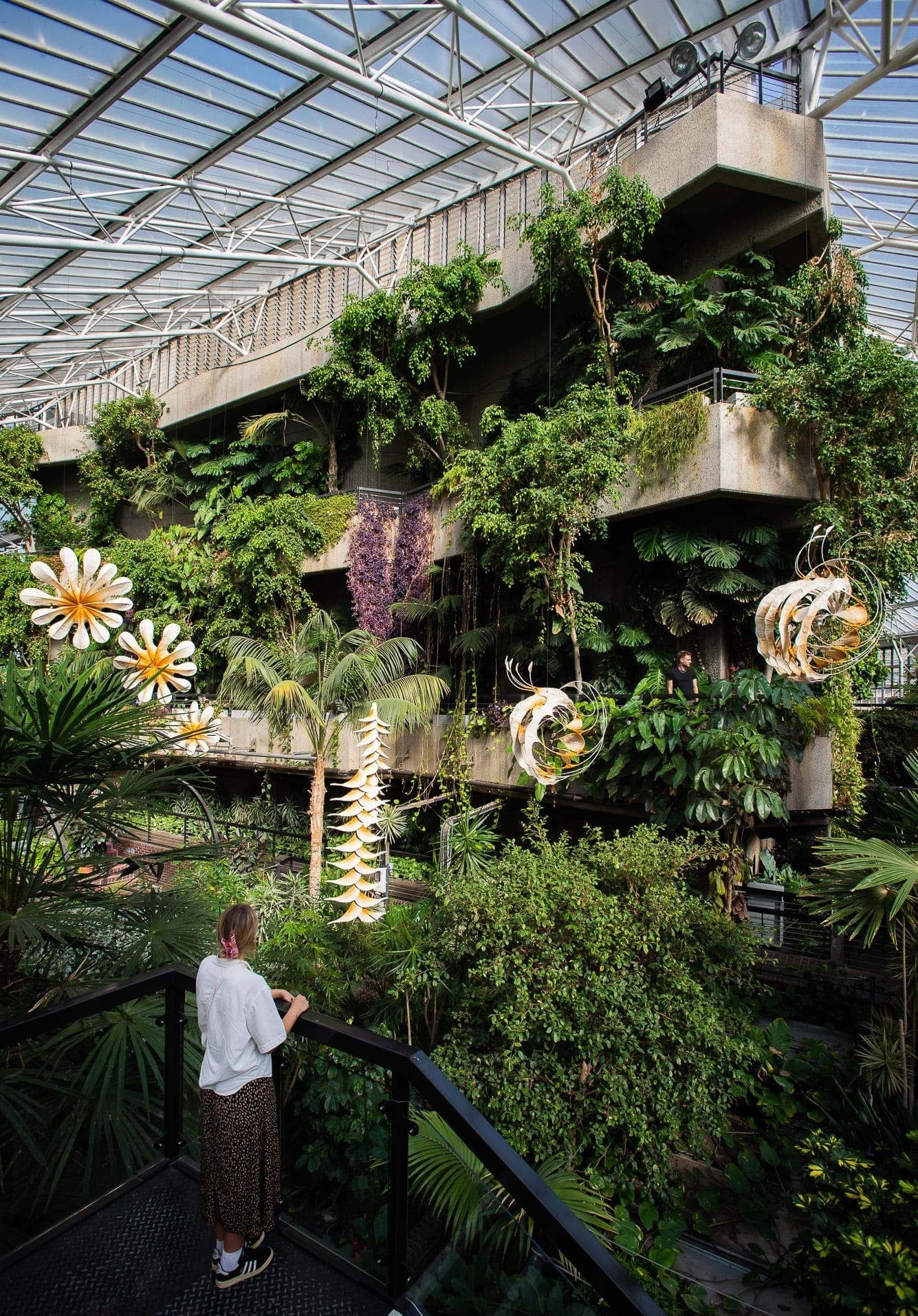 Ranjani Shettar: Cloud songs on the horizon