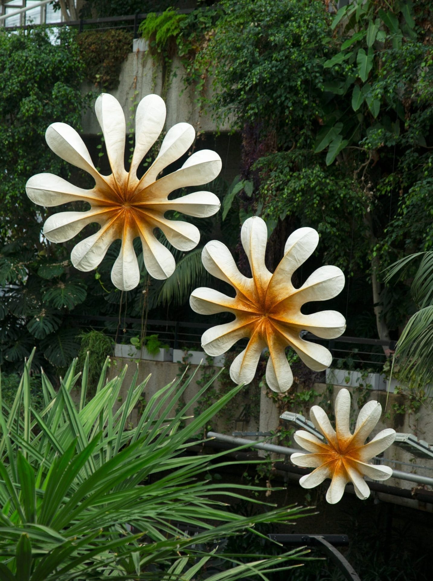 Ranjani Shettar: Cloud songs on the horizon