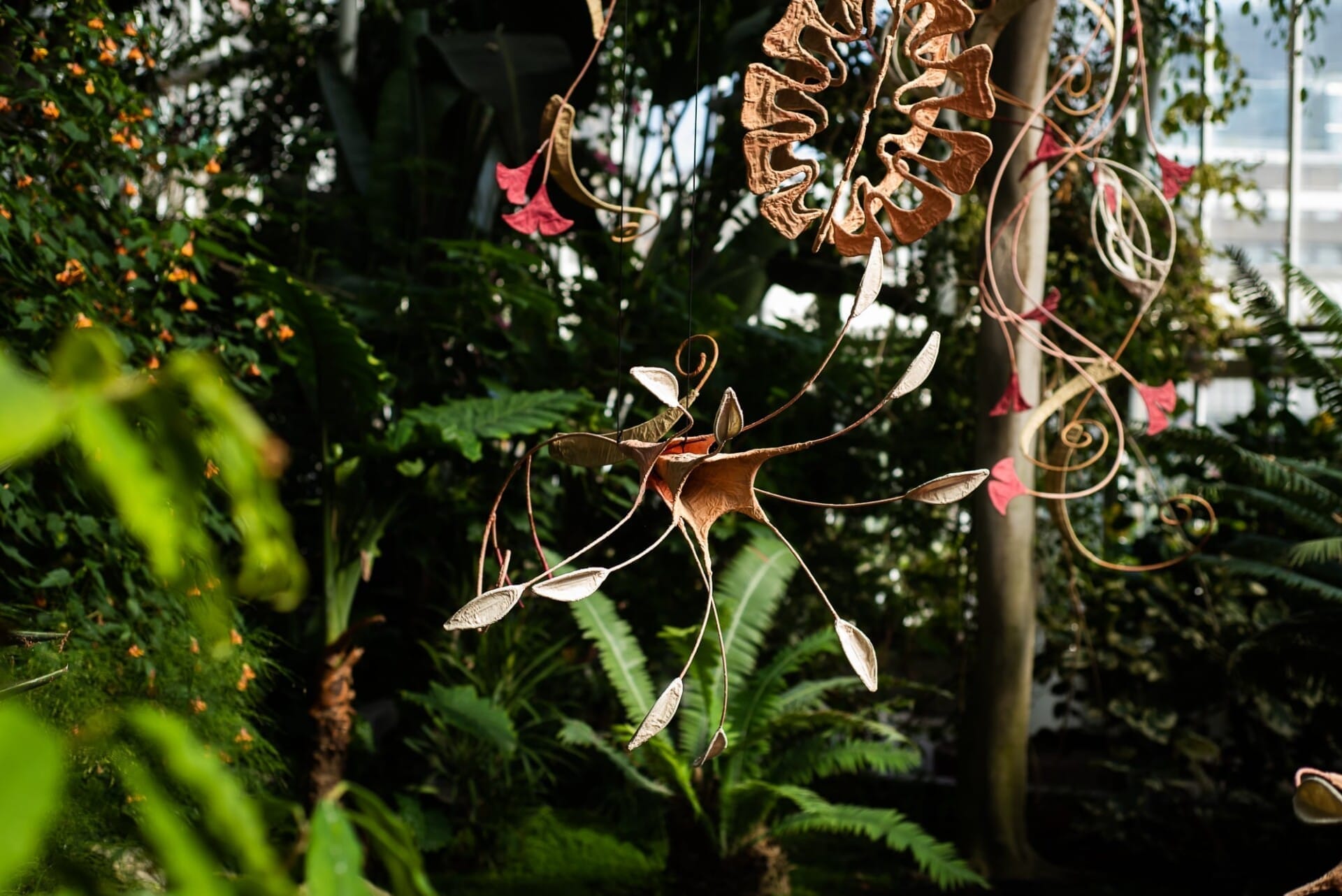 Ranjani Shettar: Cloud songs on the horizon