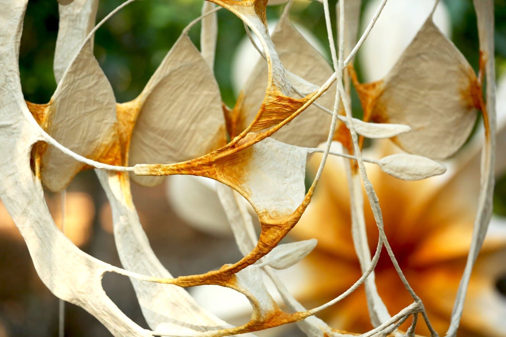 Ranjani Shettar: Cloud songs on the horizon