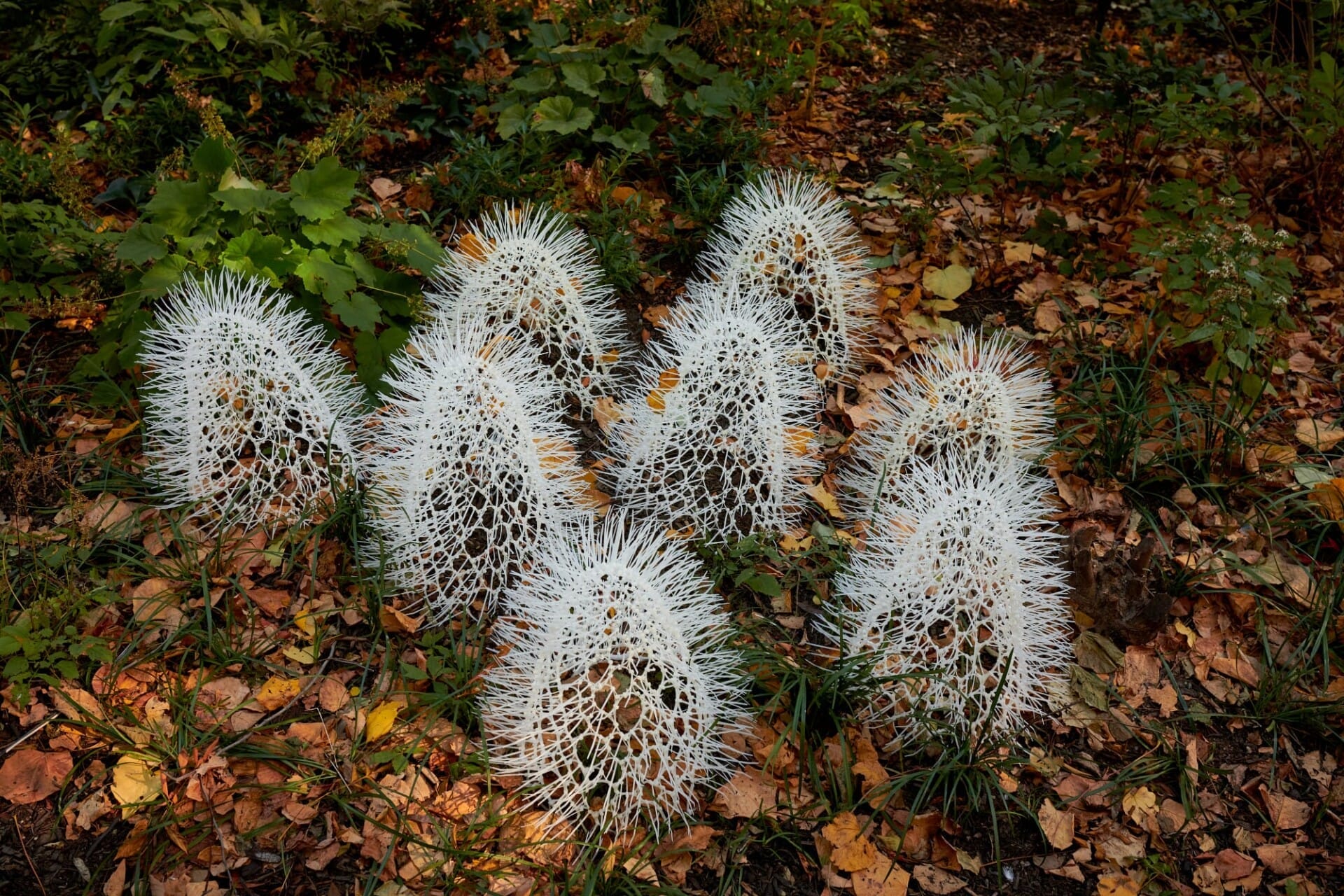 Sui Park maakt buitenaardse kunst van tiewraps