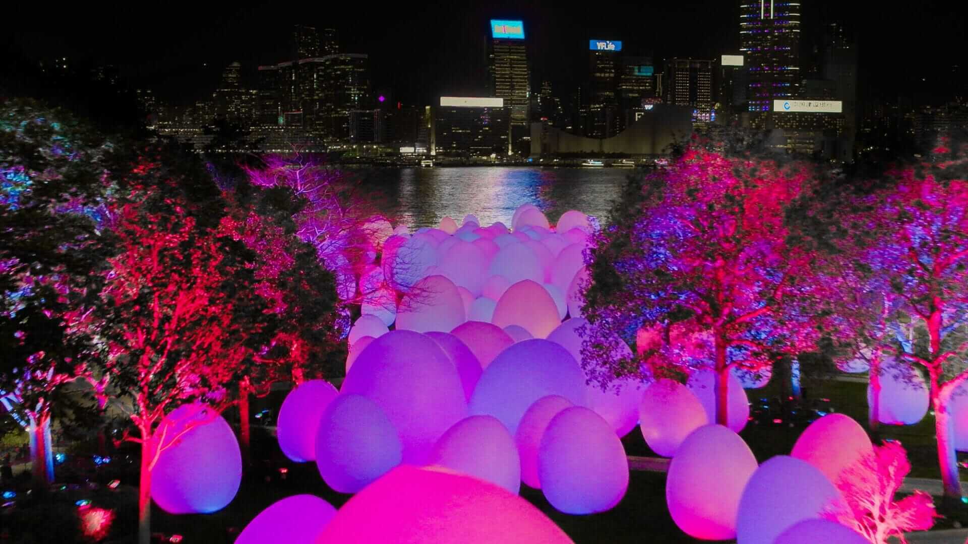 Honderden lichtgevende eivormige structuren van teamLab 41 teamLab: Continuous