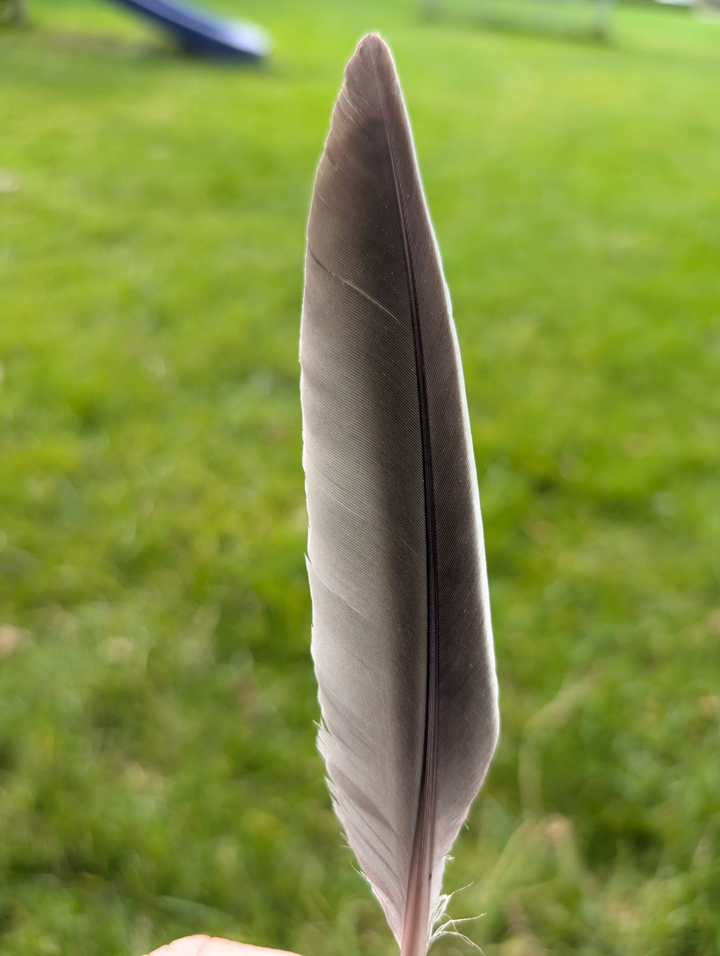 Google Pixel 9 Pro XL review